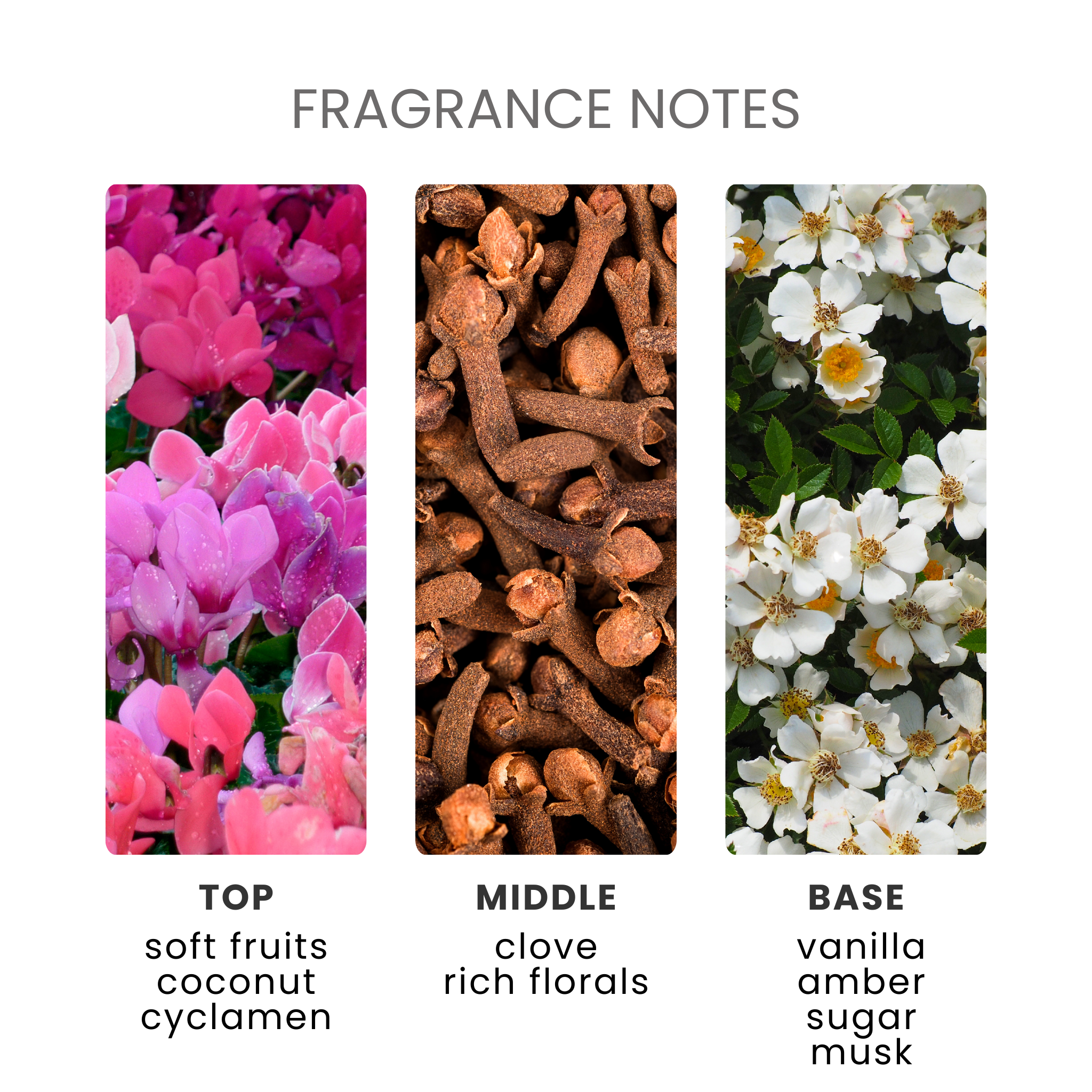 Golden Orchid Fragrance Oil Notes