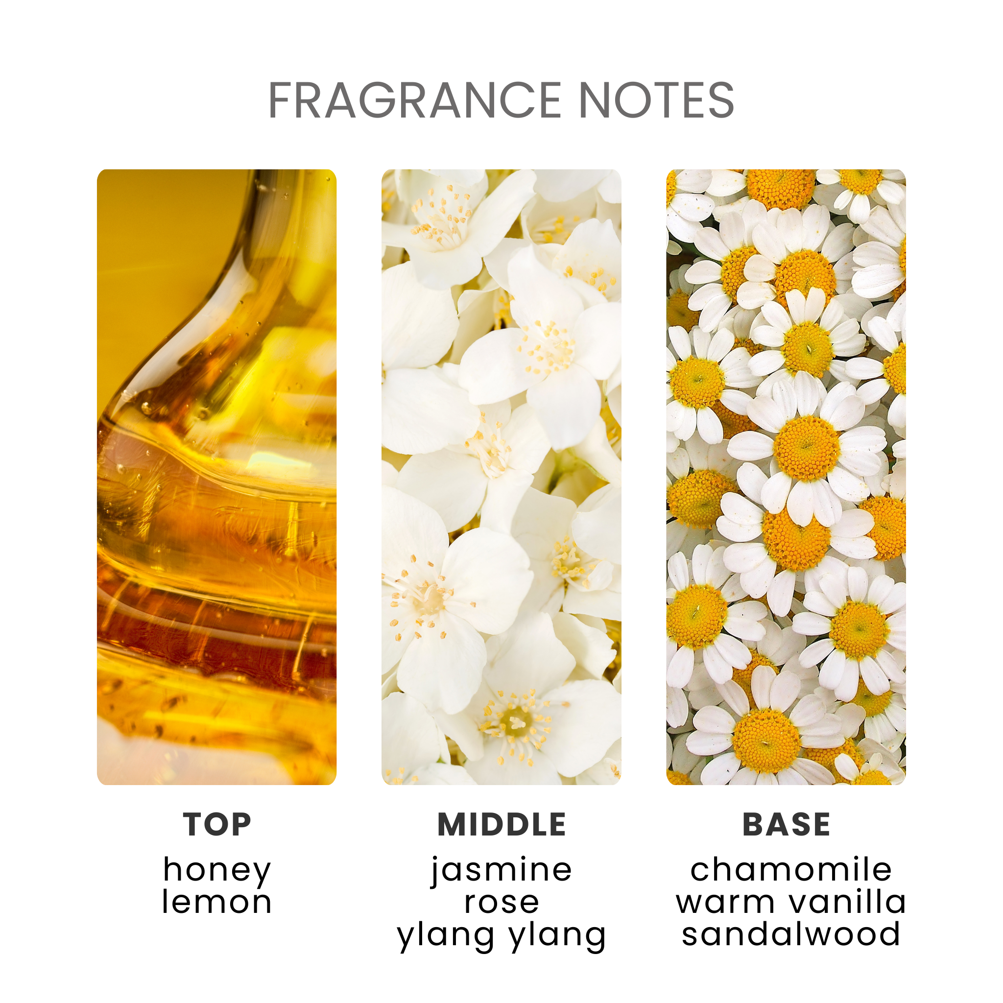 Honey Fragrance Oil Notes