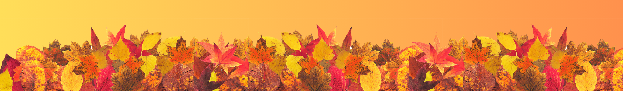 House of Scent Autumn Fragrance Oils