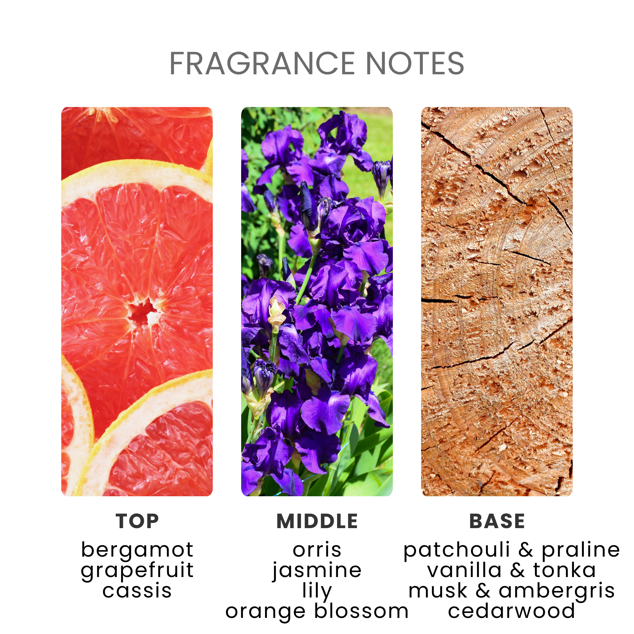 La Vie Est Belle Fragrance Oil Notes