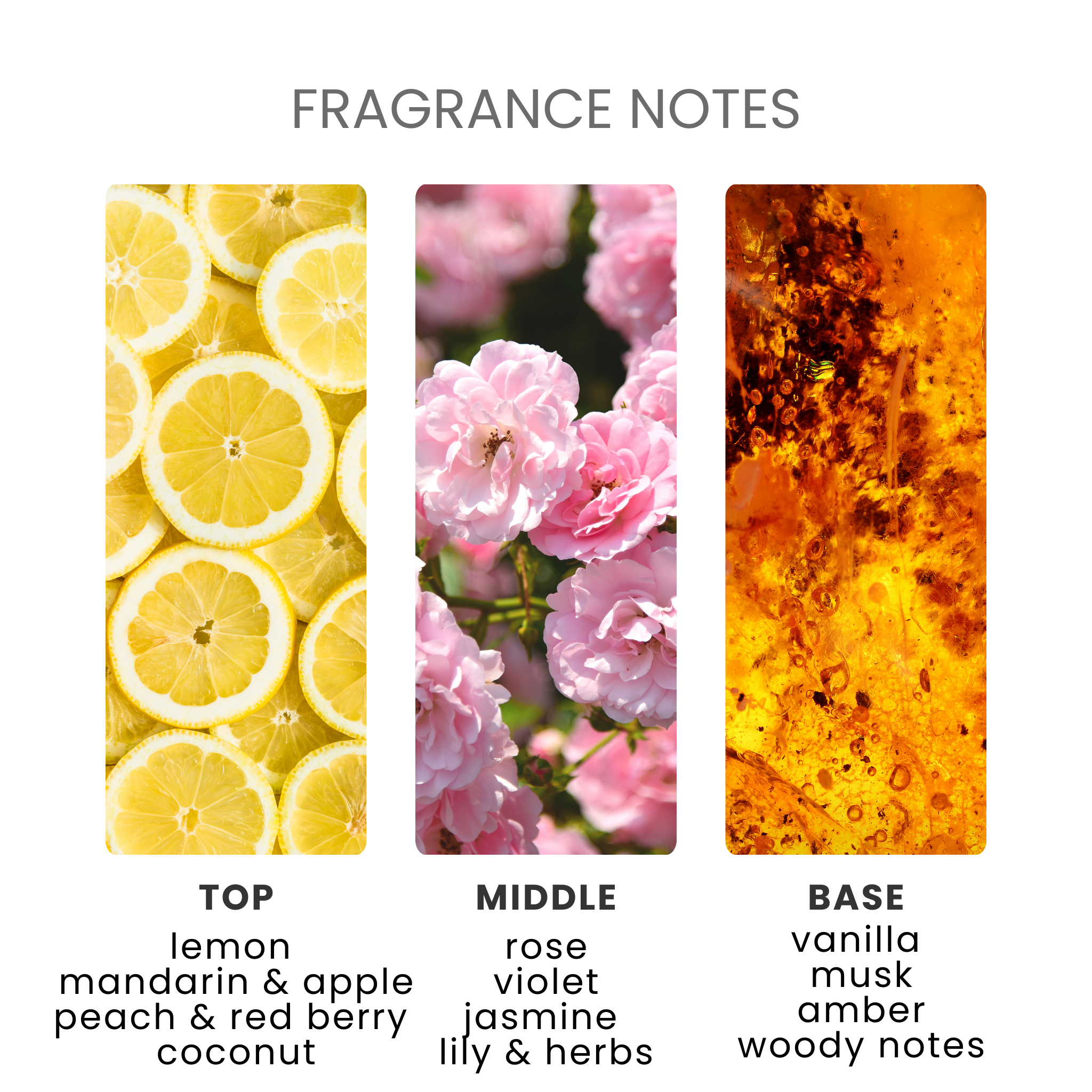 Lavish Unstoppable Fragrance Oil Notes