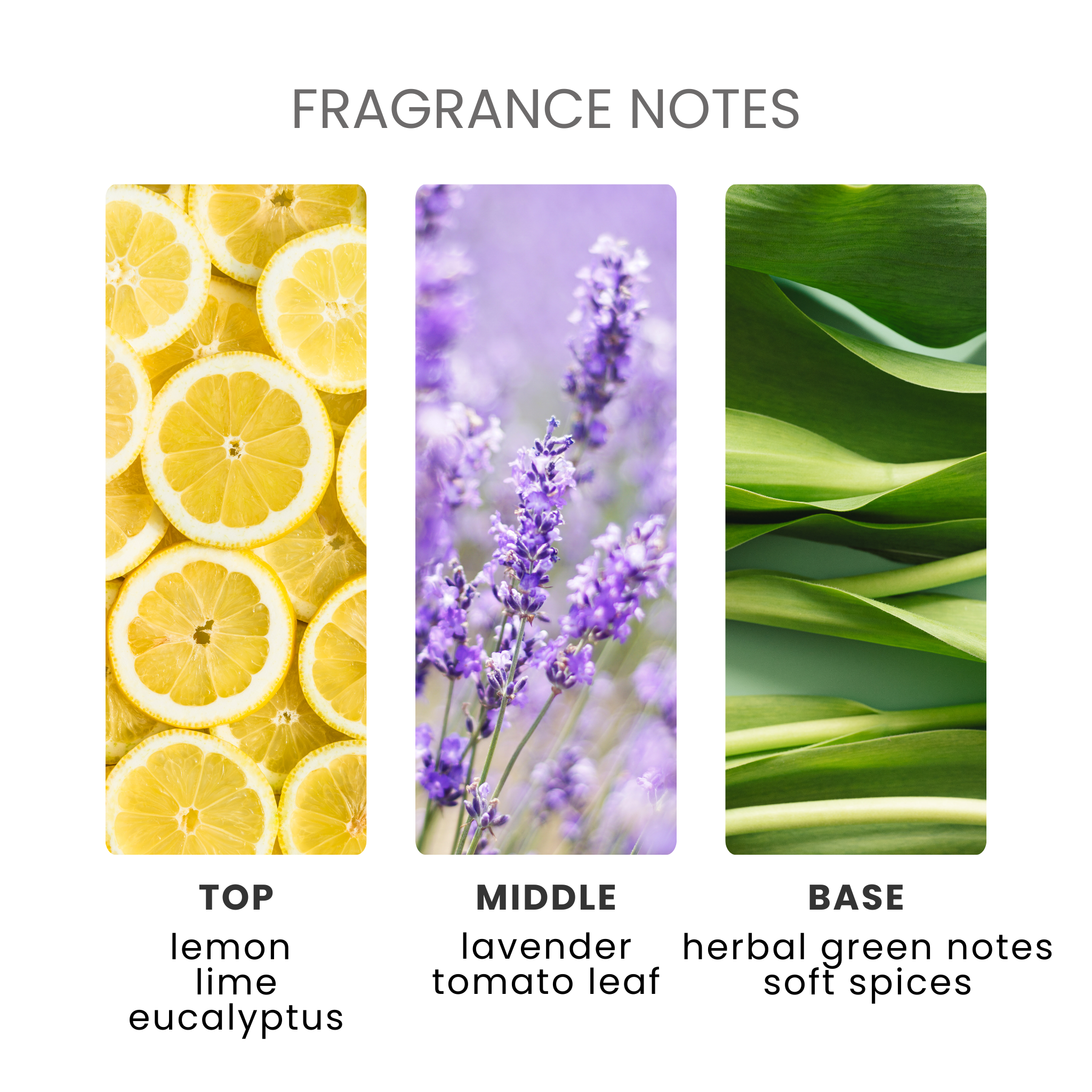 Lemon & Lavender Fragrance Oil Notes