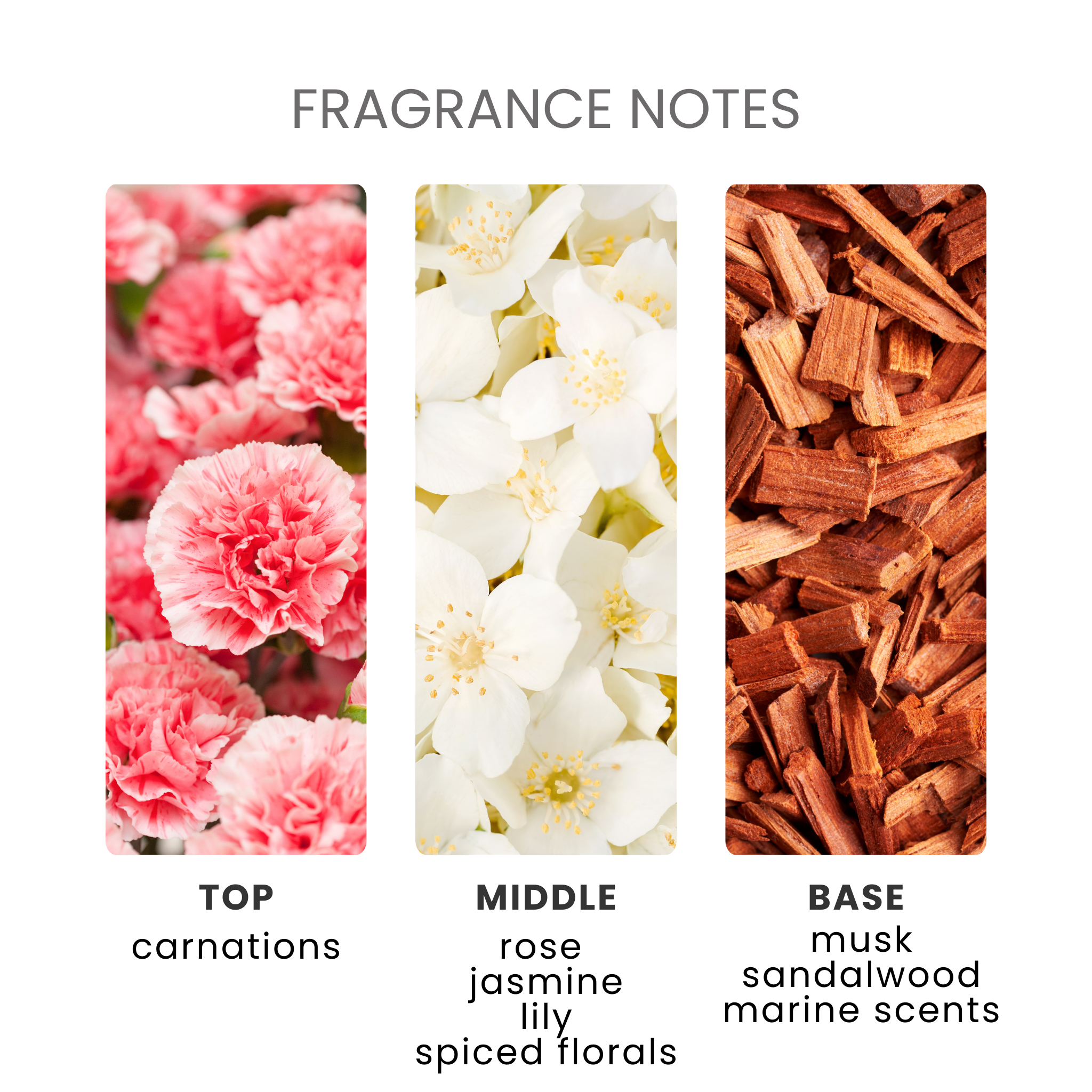 Lenora Blue Fragrance Oil Notes
