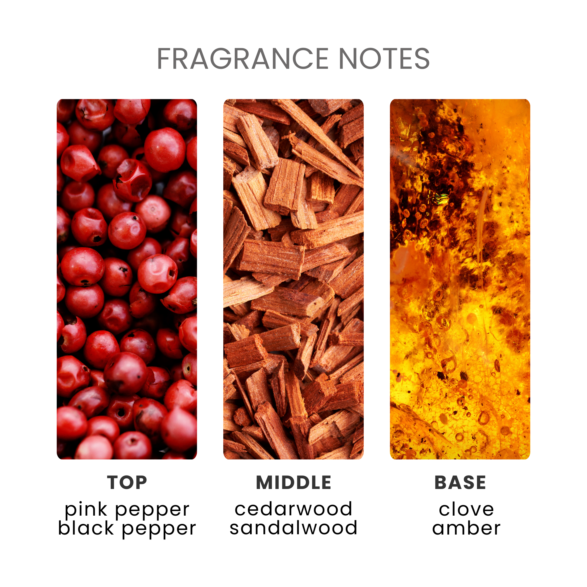 Lets Get Toasty Fragrance Oil Notes