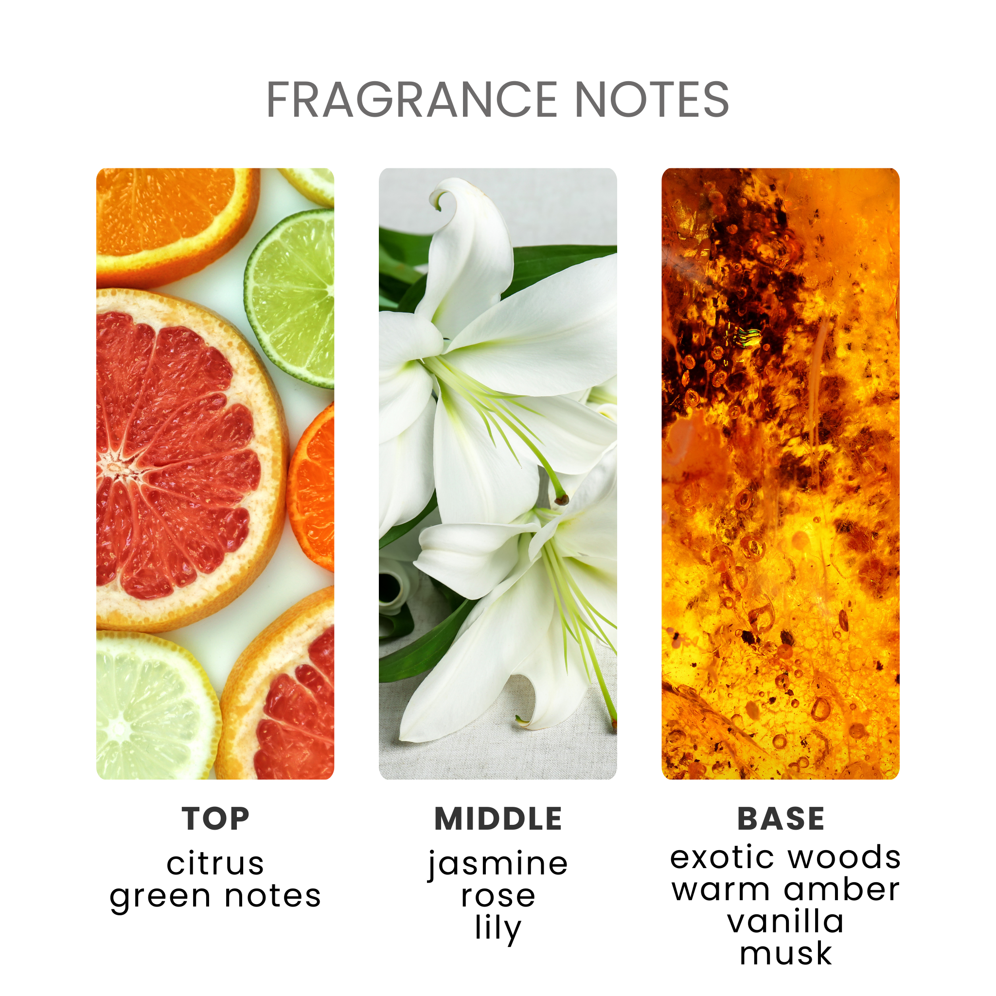 Madame Fragrance Oil Notes