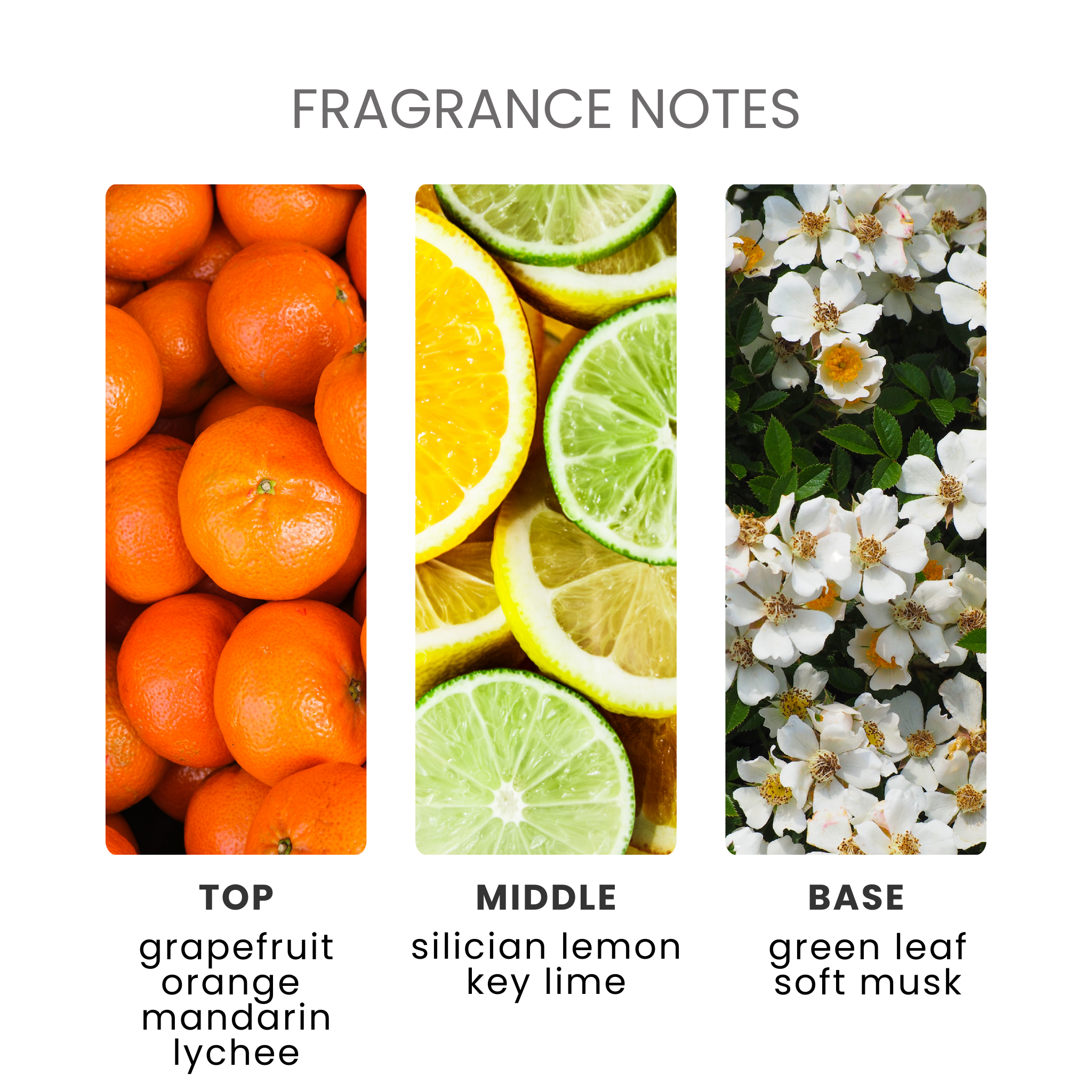 Mandarin & Orange Fragrance Oil Notes