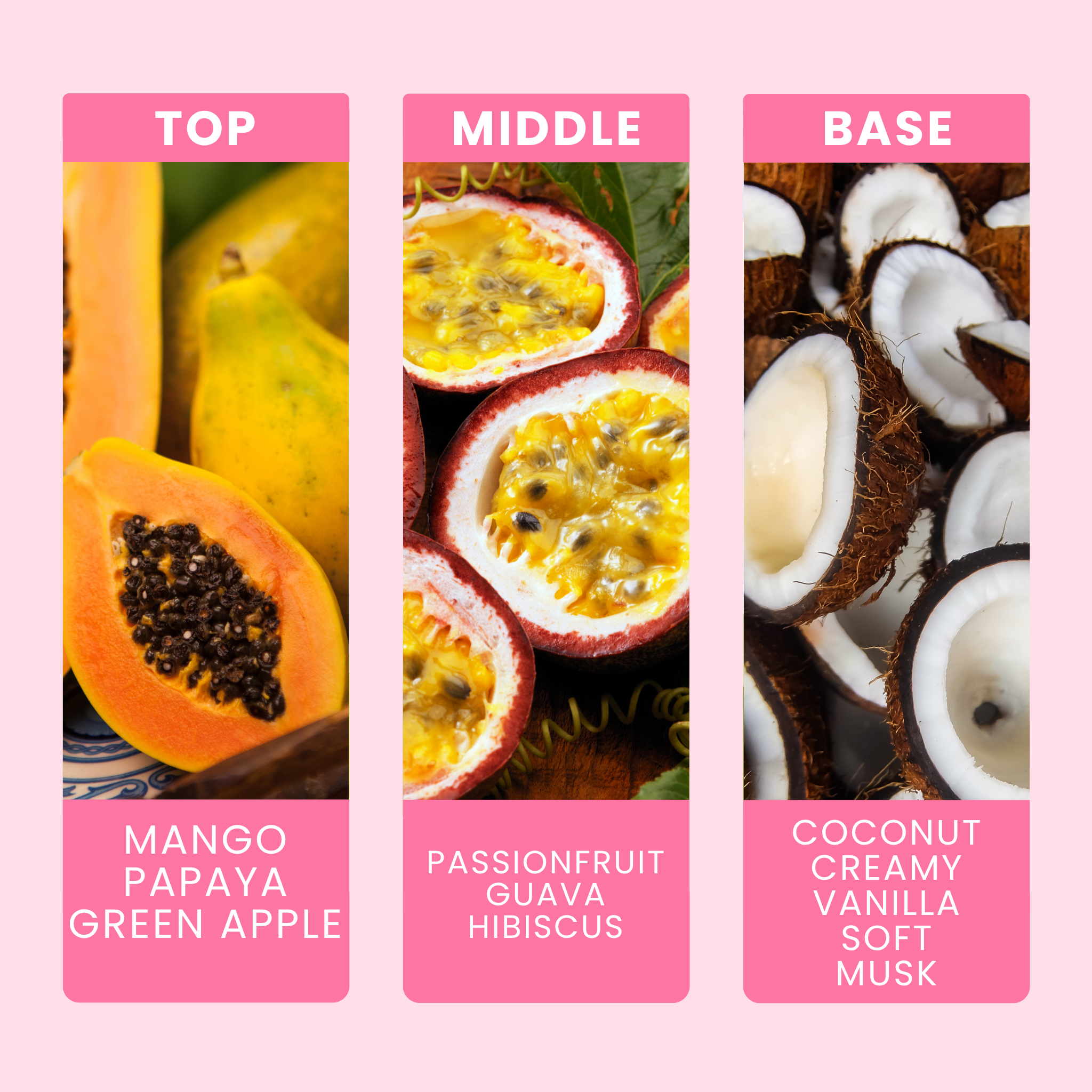 Mango & Passionfruit Fragrance Notes For Wax Melts