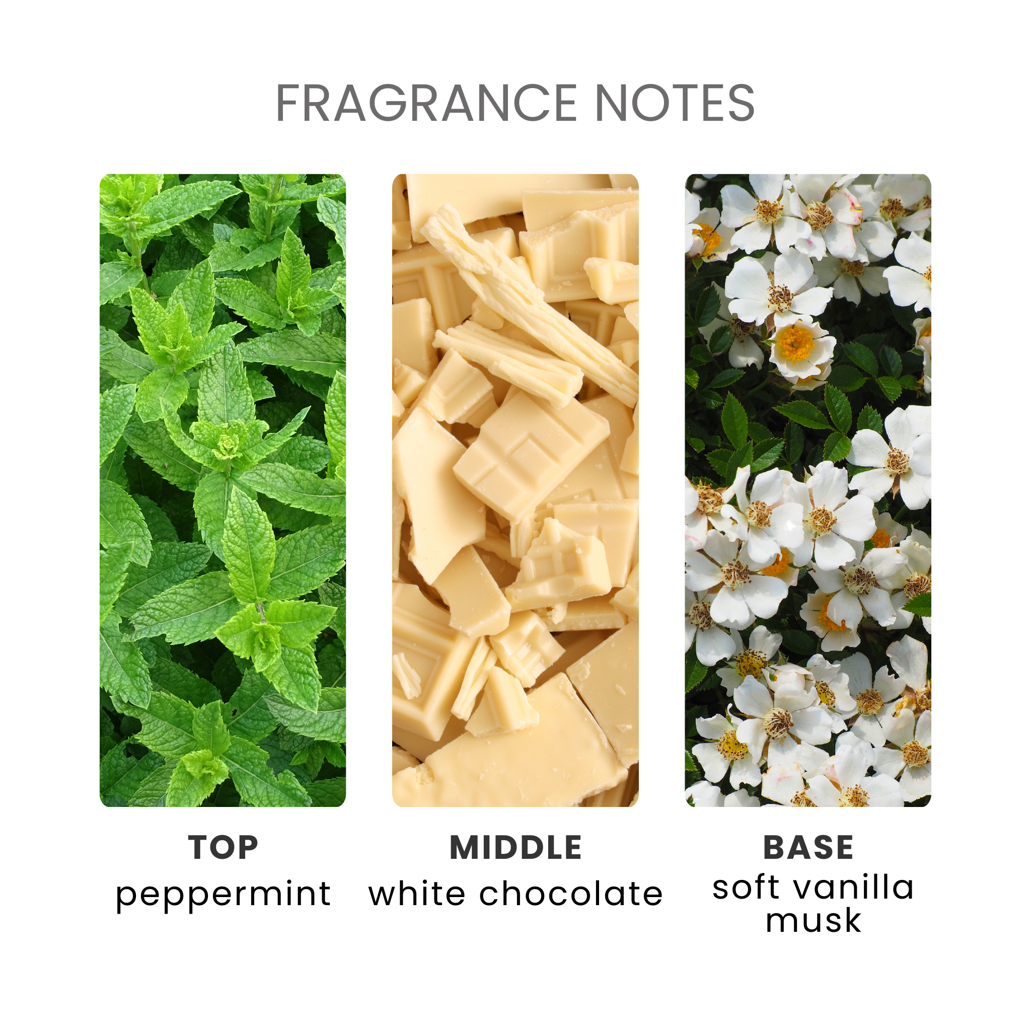 Mint Chocolate Fragrance Oil Notes