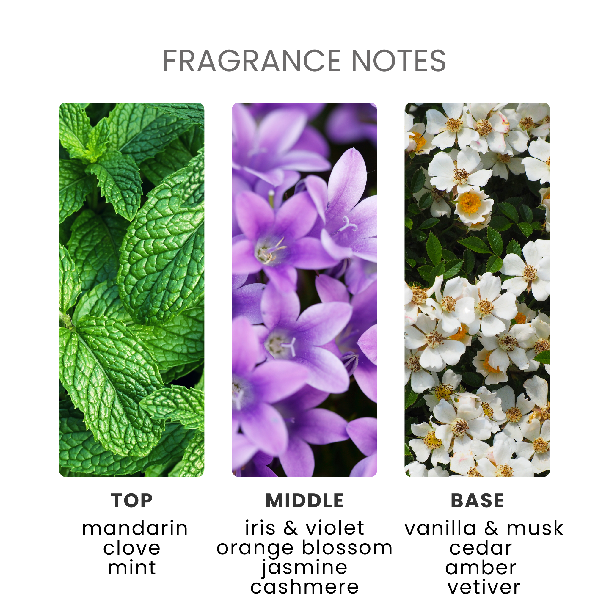 Minted Heath & Cashmere Fragrance Oil Notes