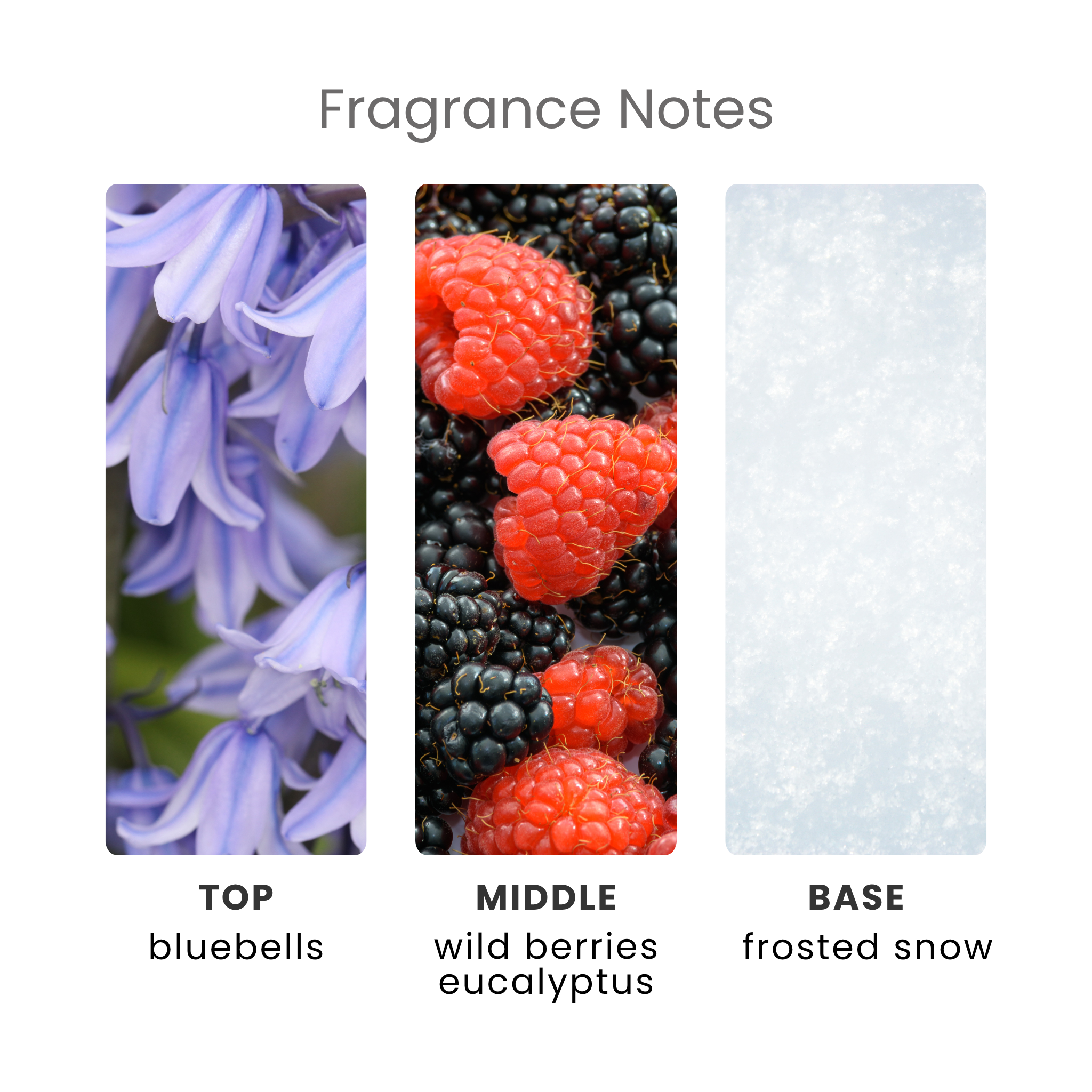 Mrs Hinch Bluebells & Wild Berries Fragrance Oil Notes