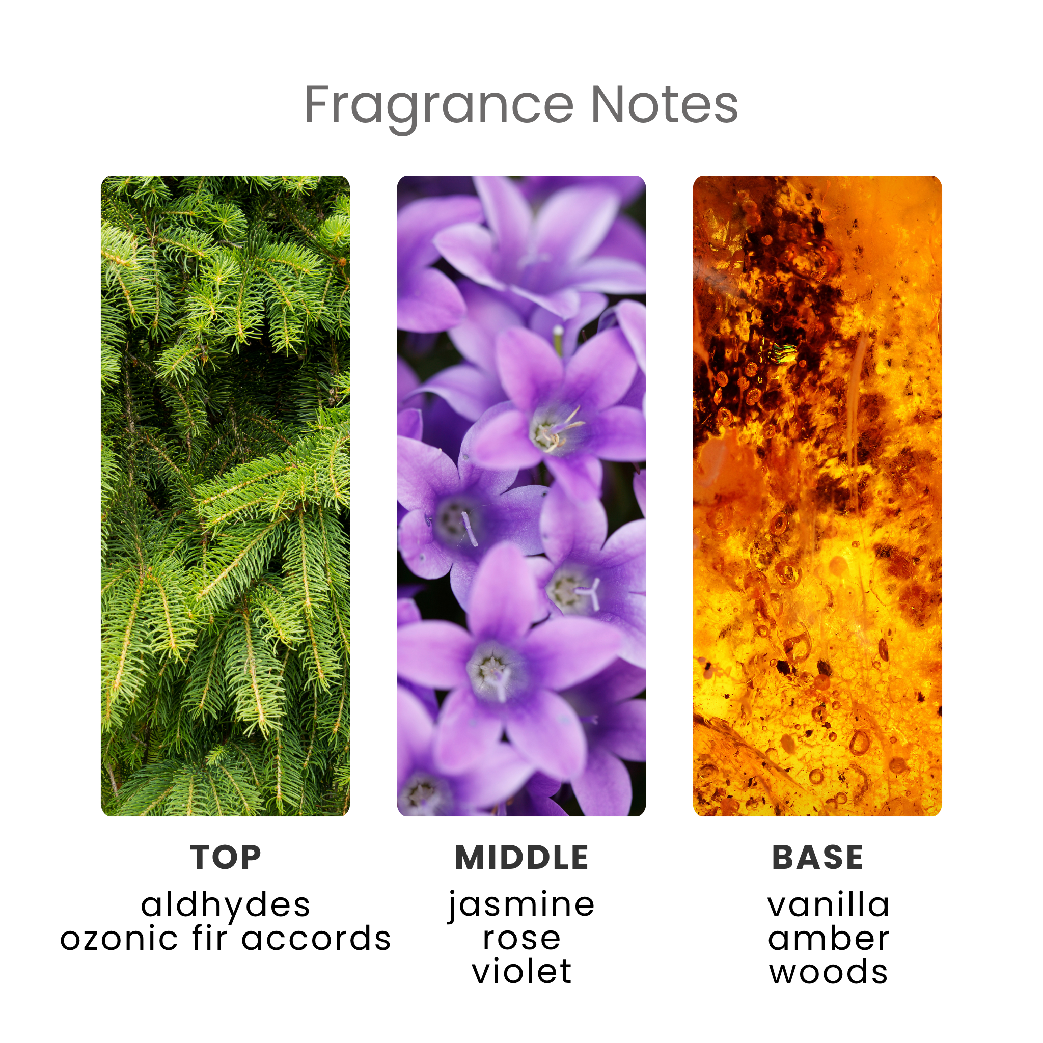 Mrs Hinch Enchanted Wildflowers Oil Notes