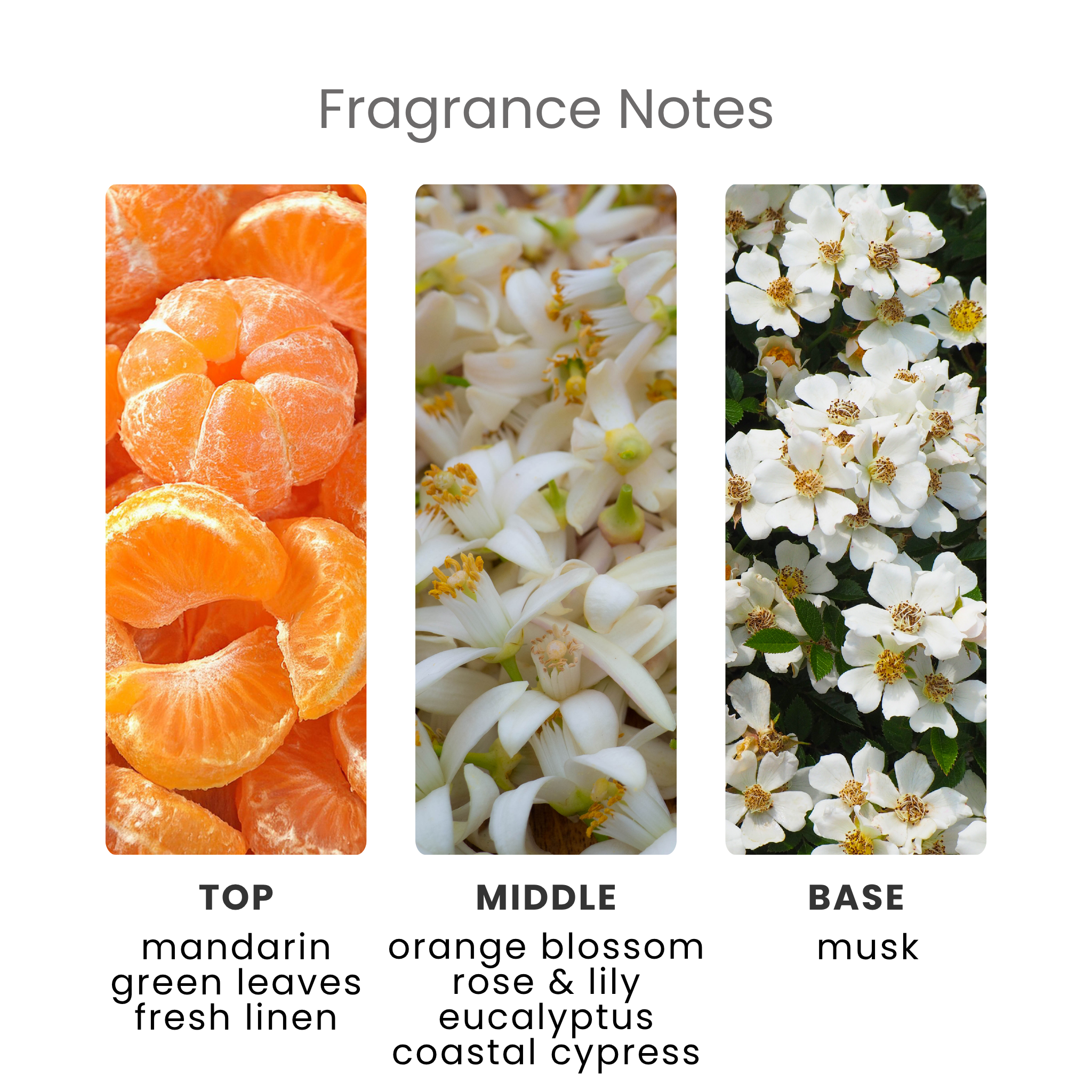 Mrs Hinch Vacay Vibes Orange Blossom & Coastal Cypress Fragrance Oil Notes