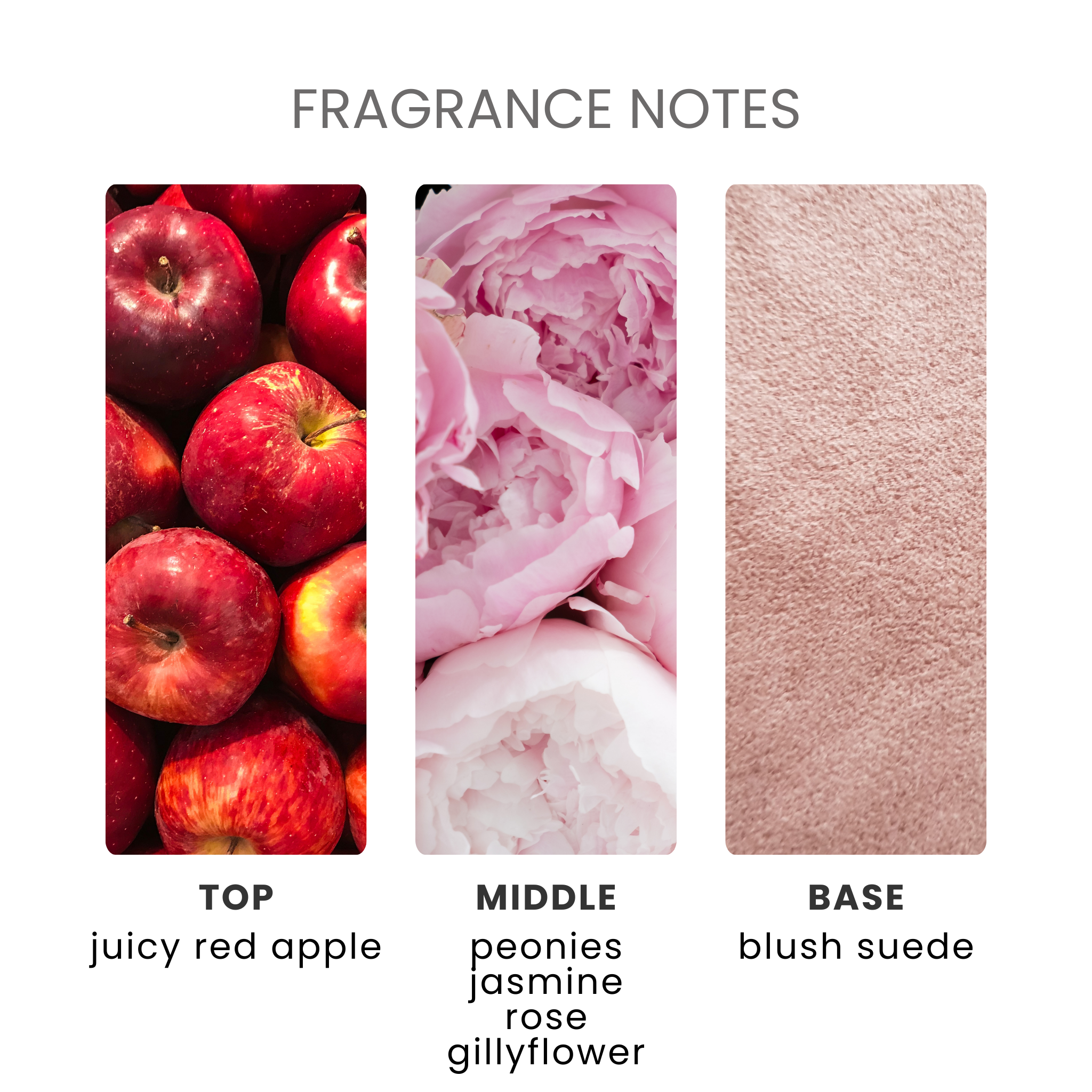 Peony & Blush Suede Fragrance Oil Notes