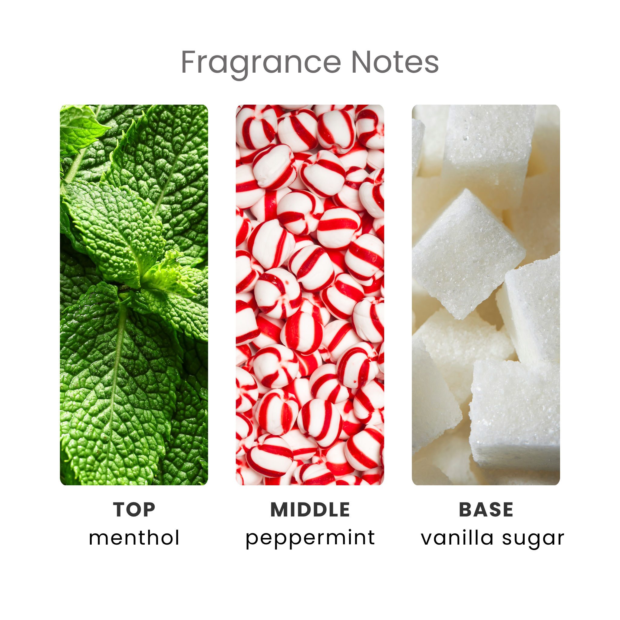 Peppermint Treats Fragrance Oil Notes
