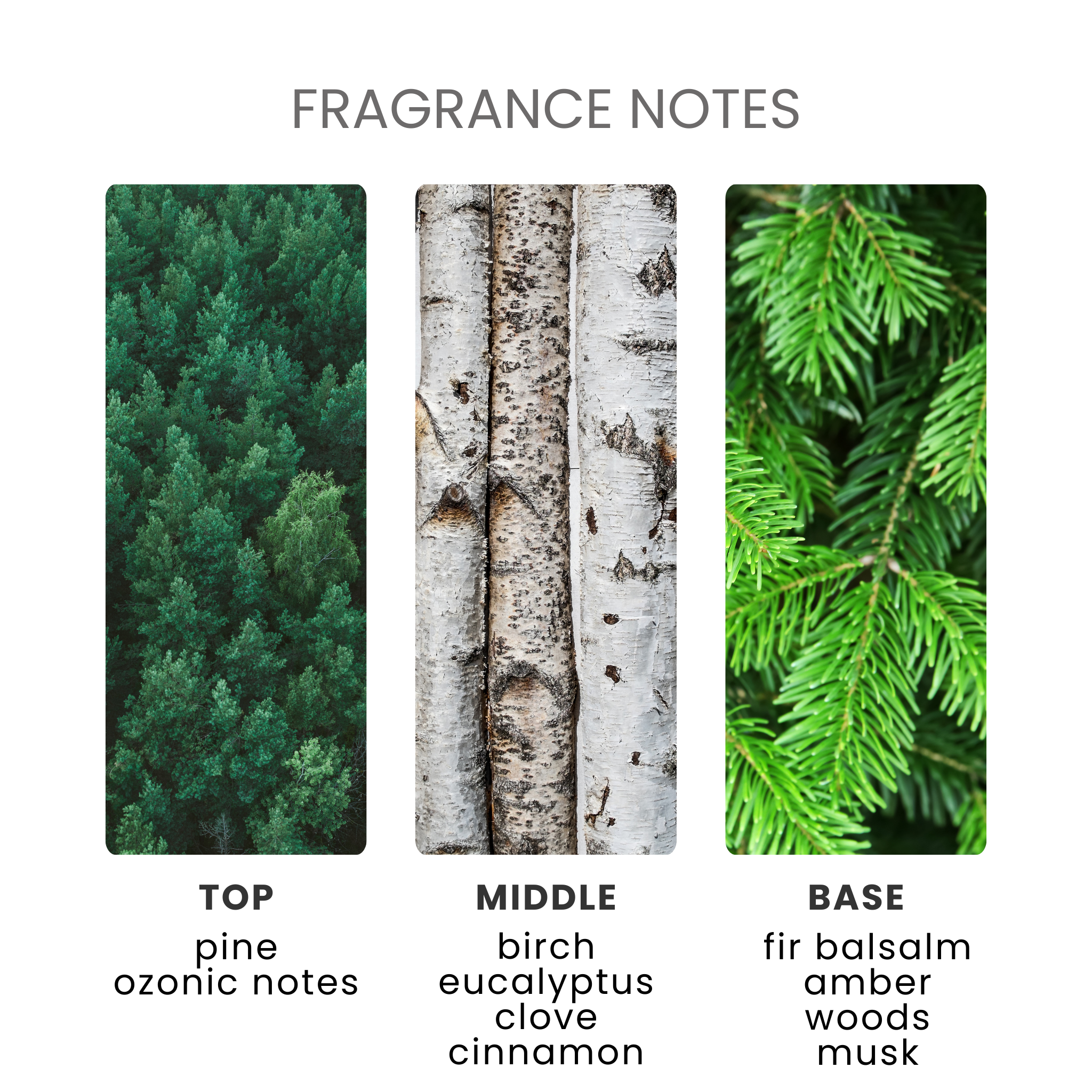 Pine-ing For You Fragrance Oil Notes