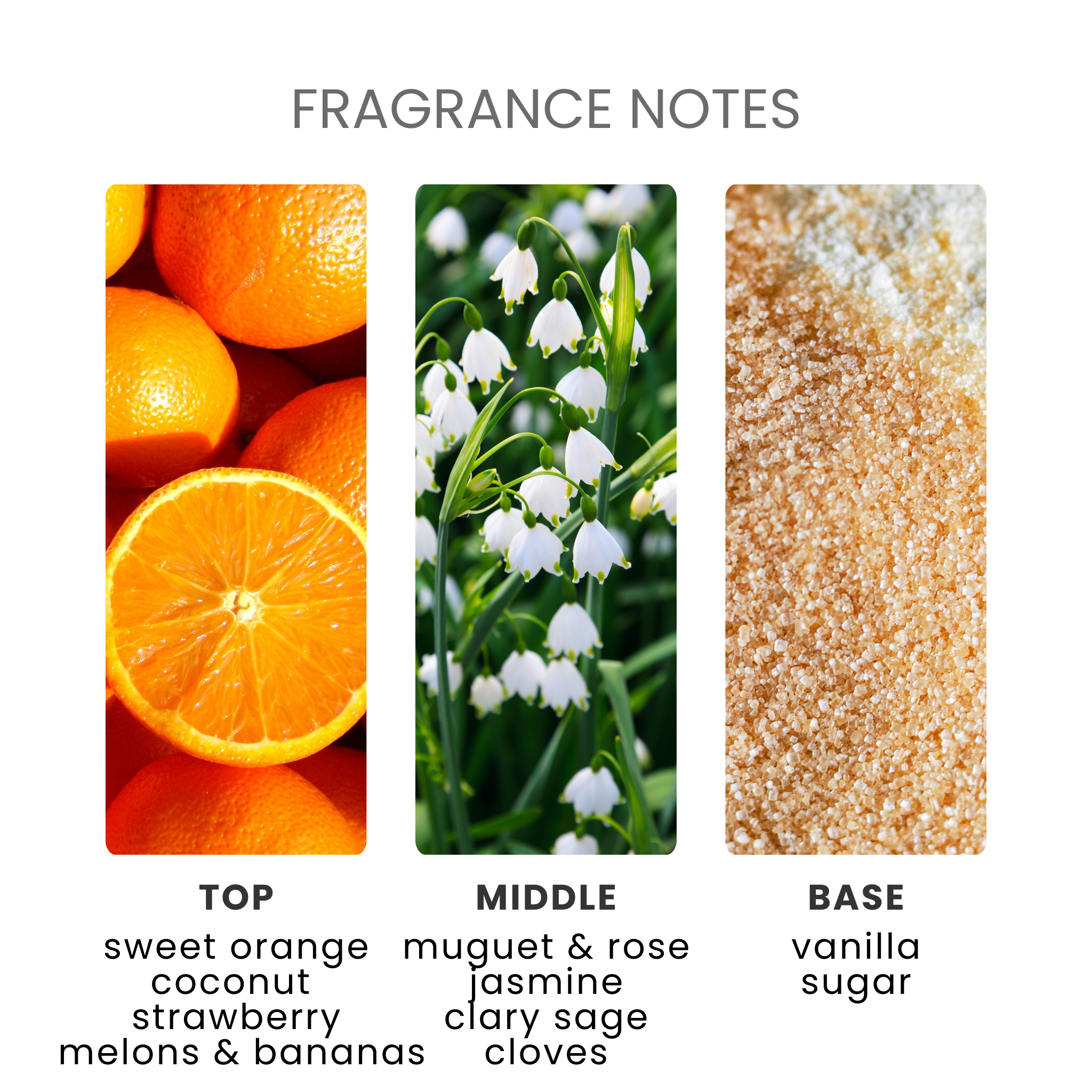 Pinky Sands Fragrance Oil Notes