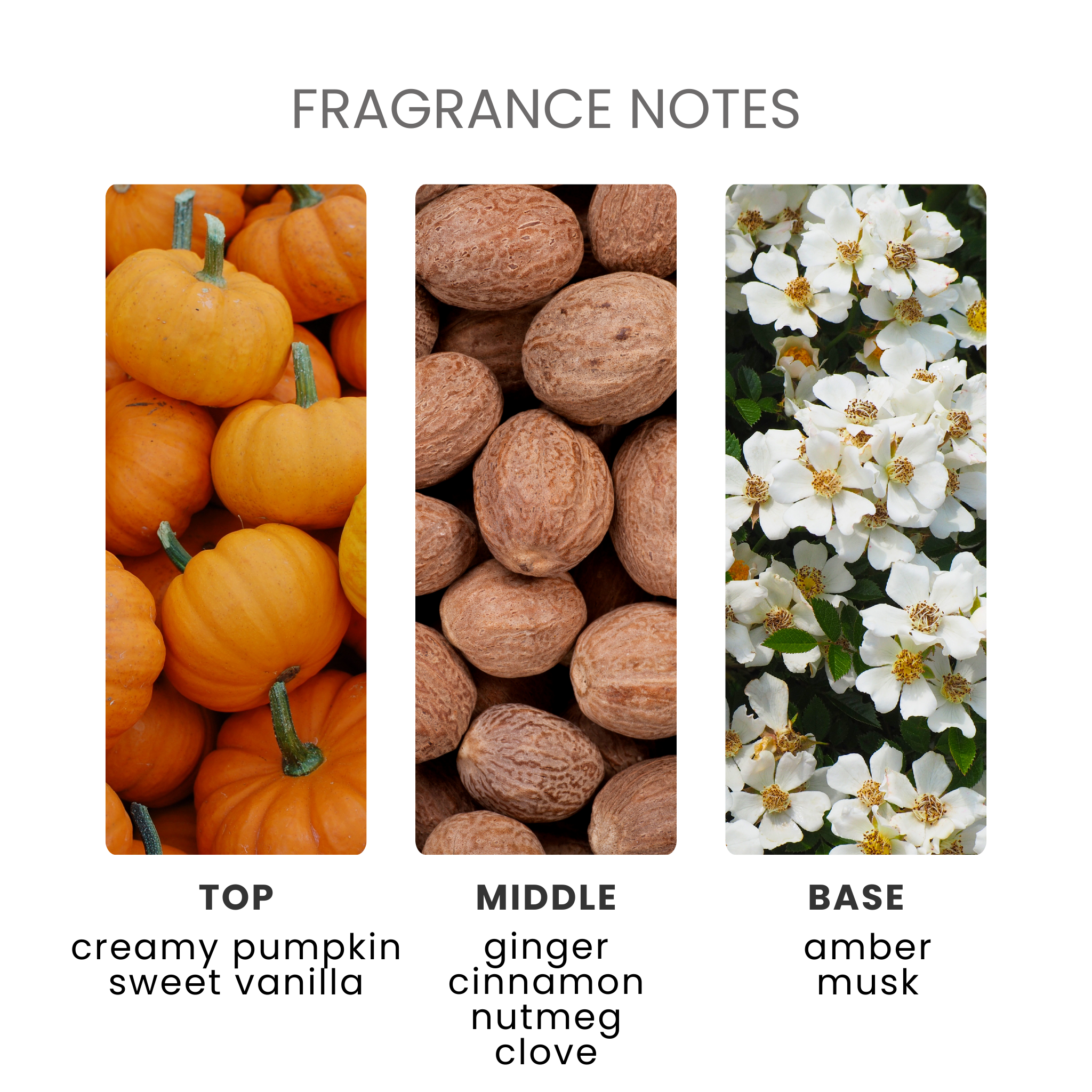 Pumpkin Spice Latte Fragrance Oil Notes