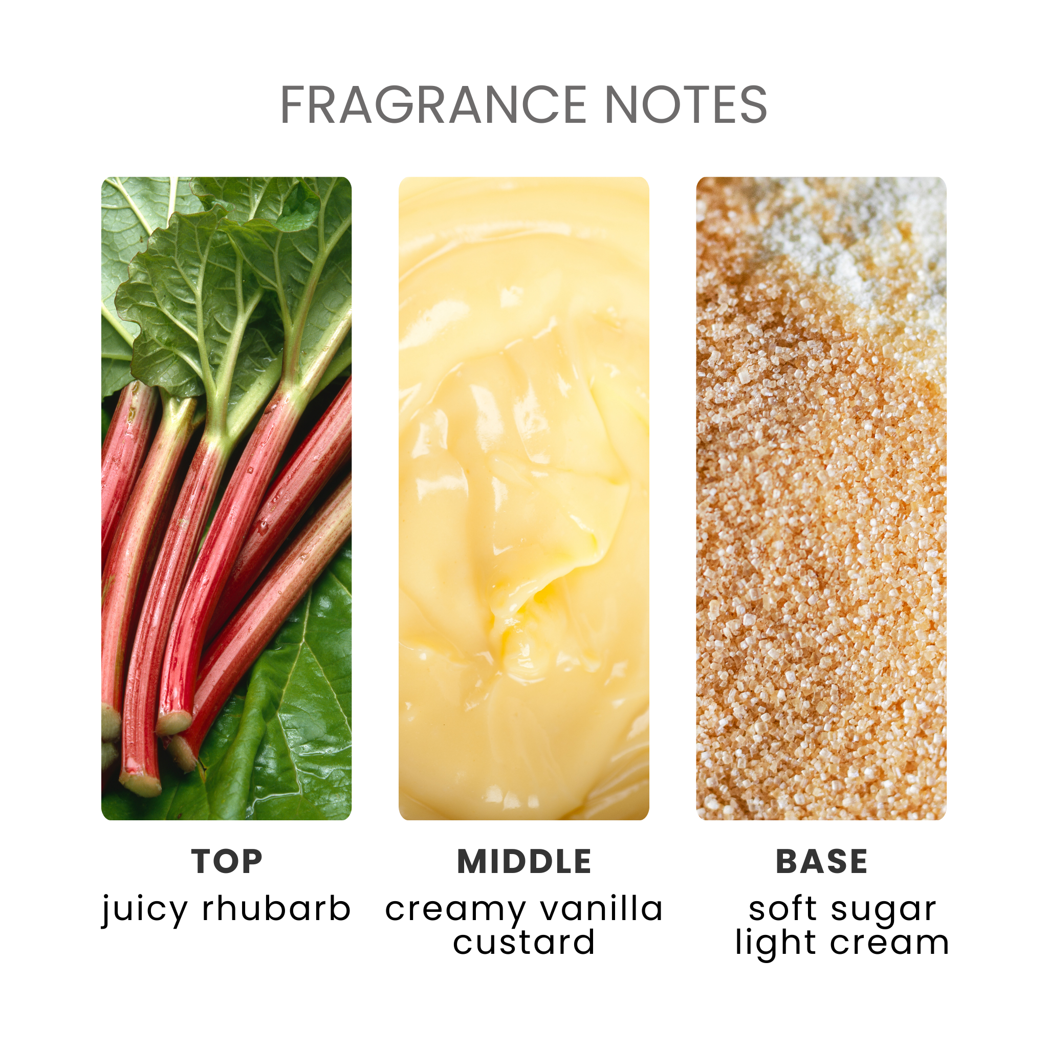 Rhubarb & Custard Fragrance Oil Notes