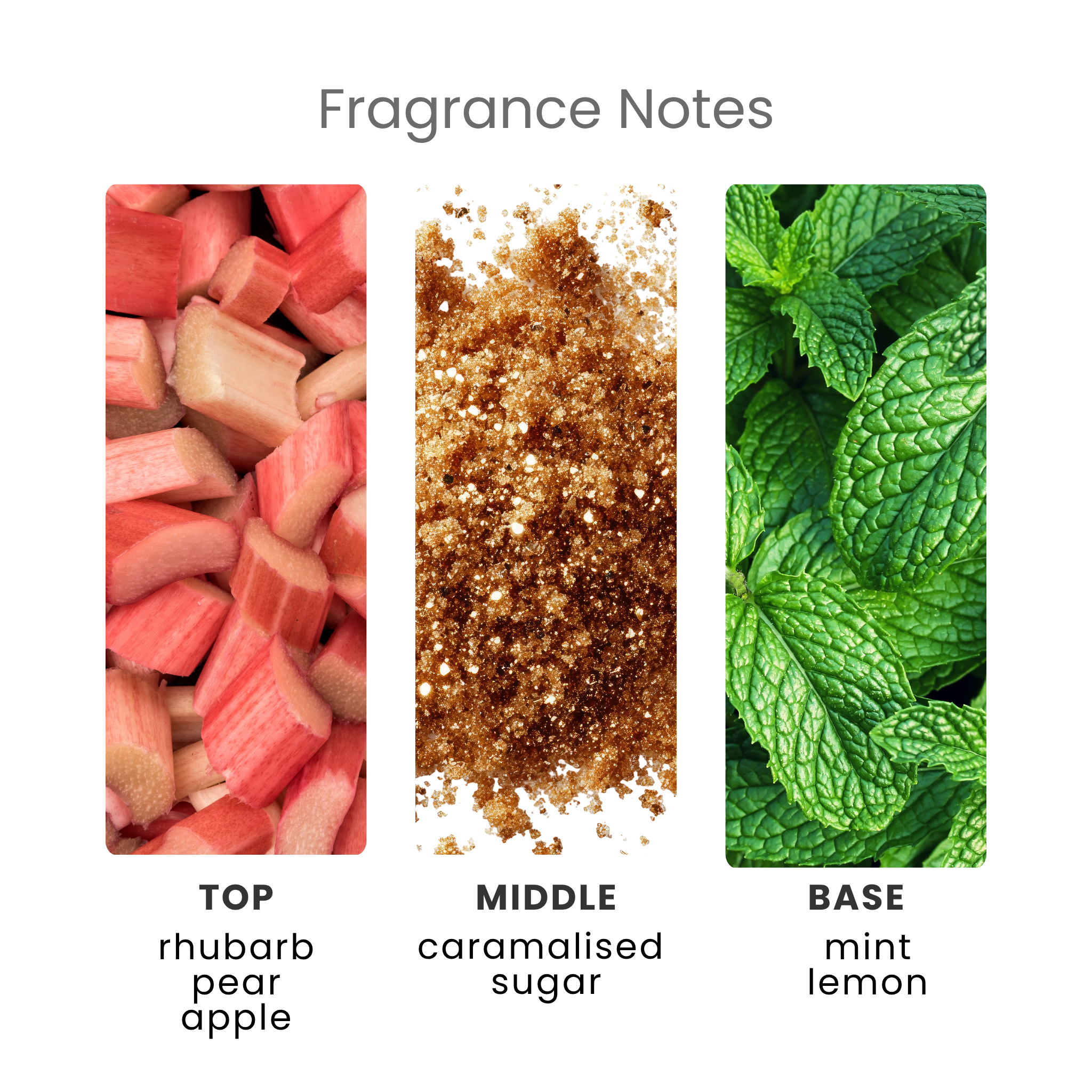 Rhubarb & Wild Mint Fragrance Oil Notes