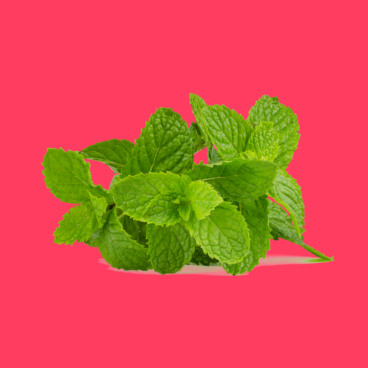 Rhubarb & Wild Mint Fragrance Oil