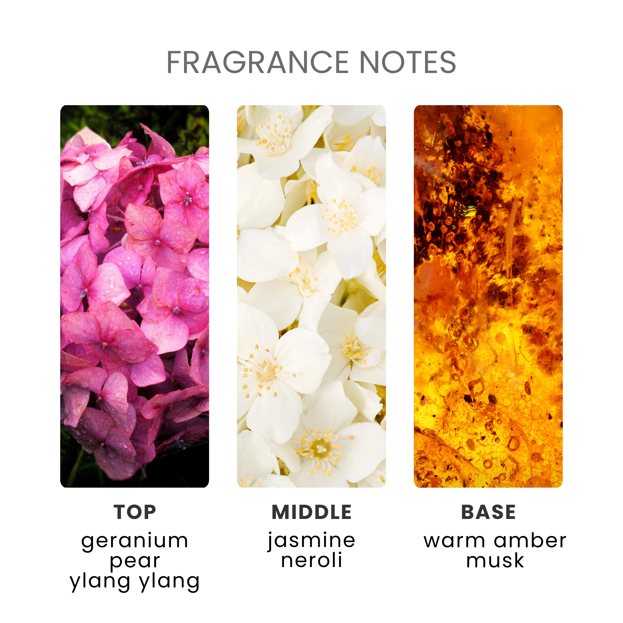 Spa Day Fragrance Oil Notes