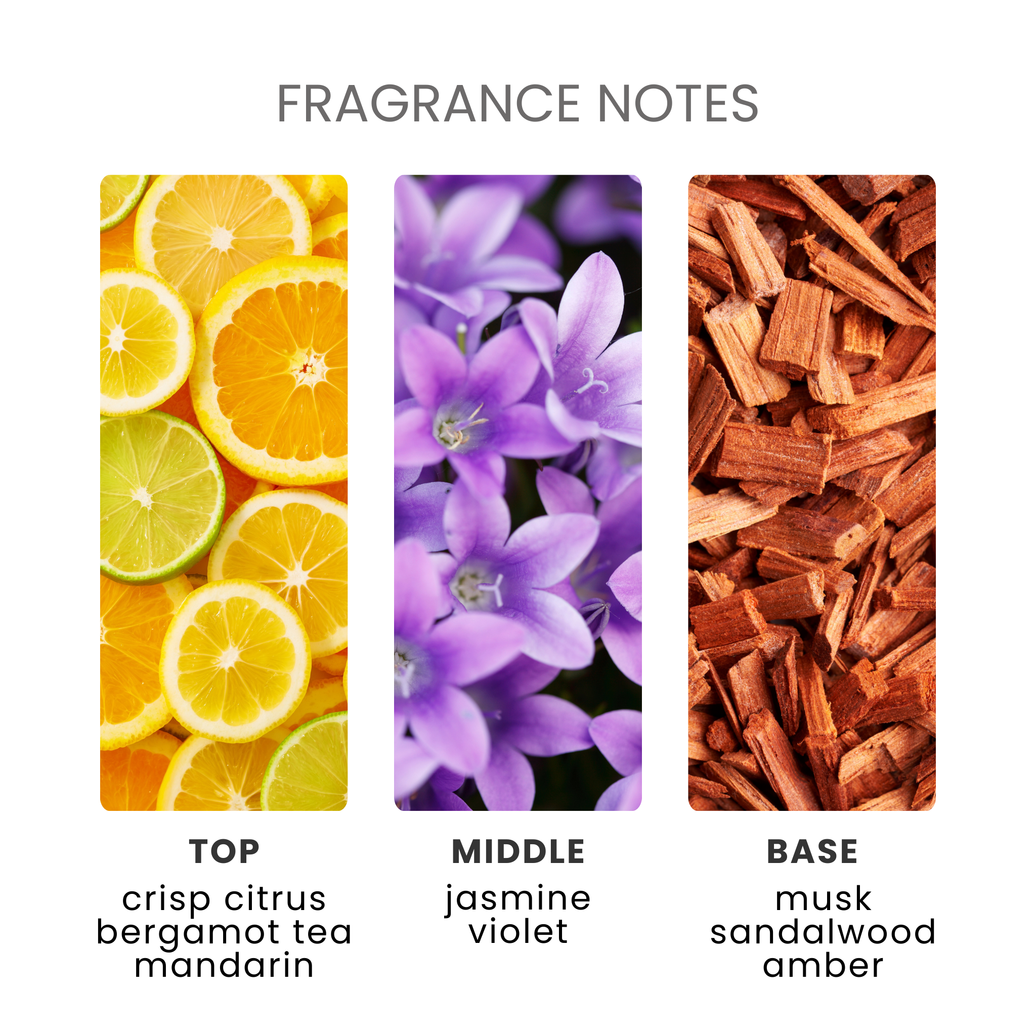 Spring Awakening Fragrance Oil Notes
