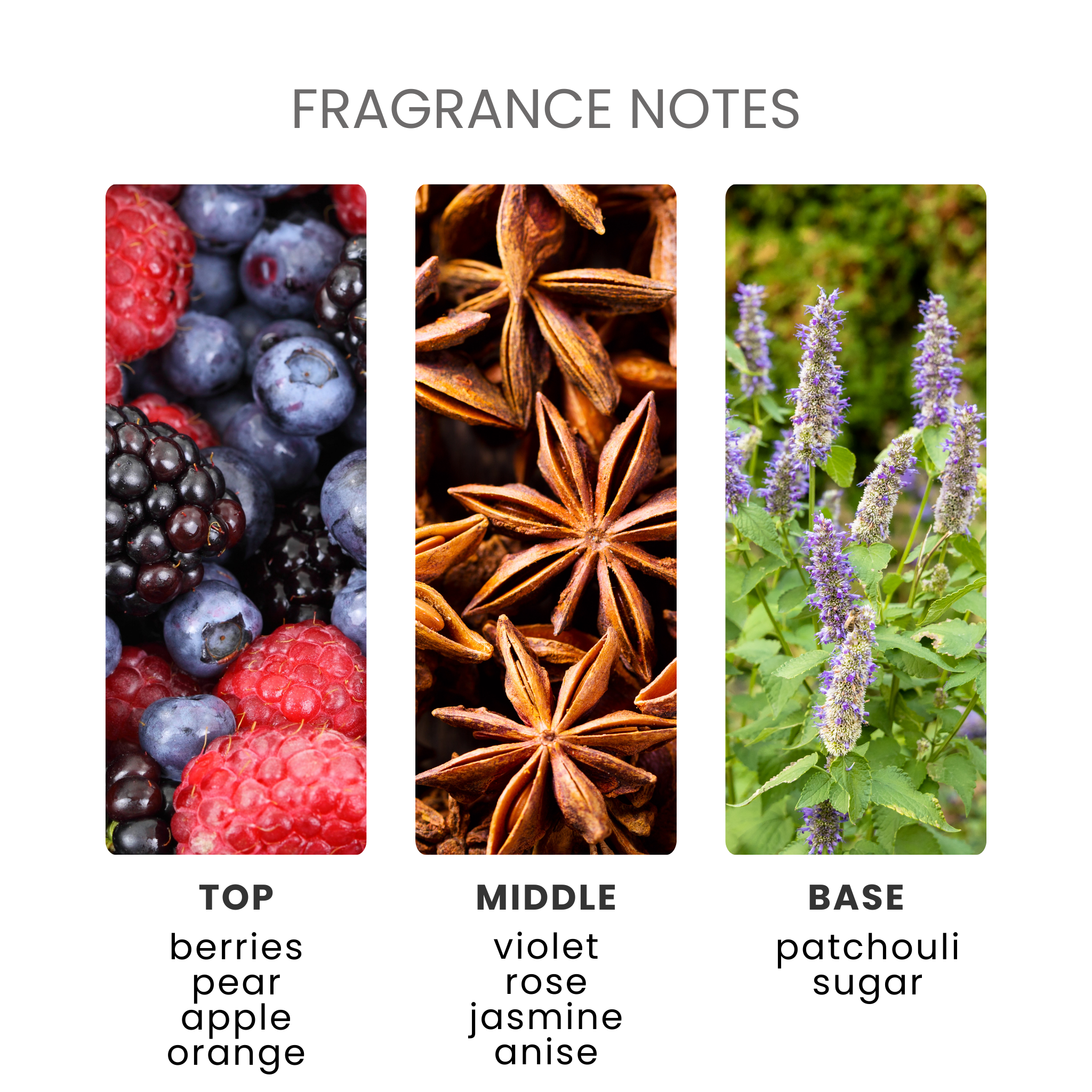 Spring Unstoppable Fragrance Oil Notes