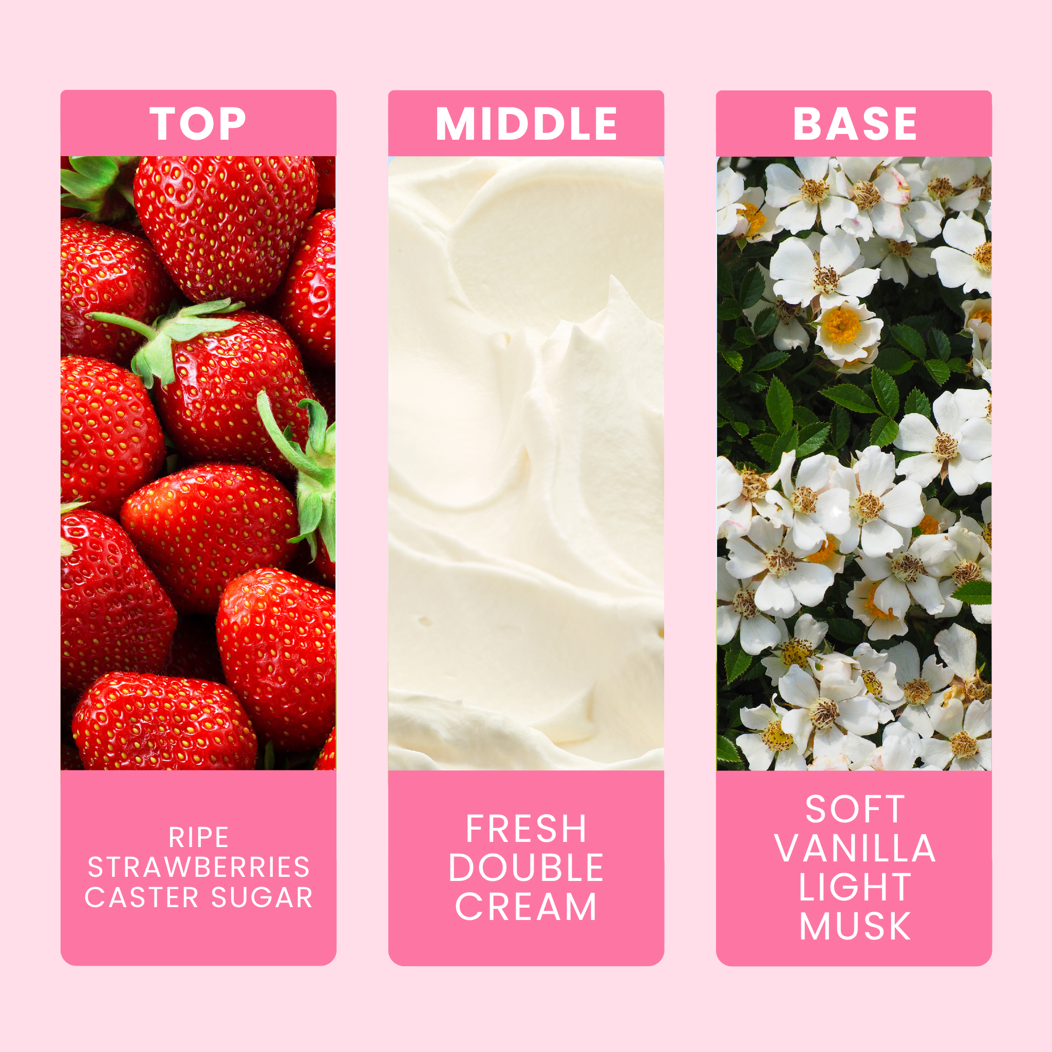 Strawberries & Cream Fragrance Notes For Candles & Wax Melts