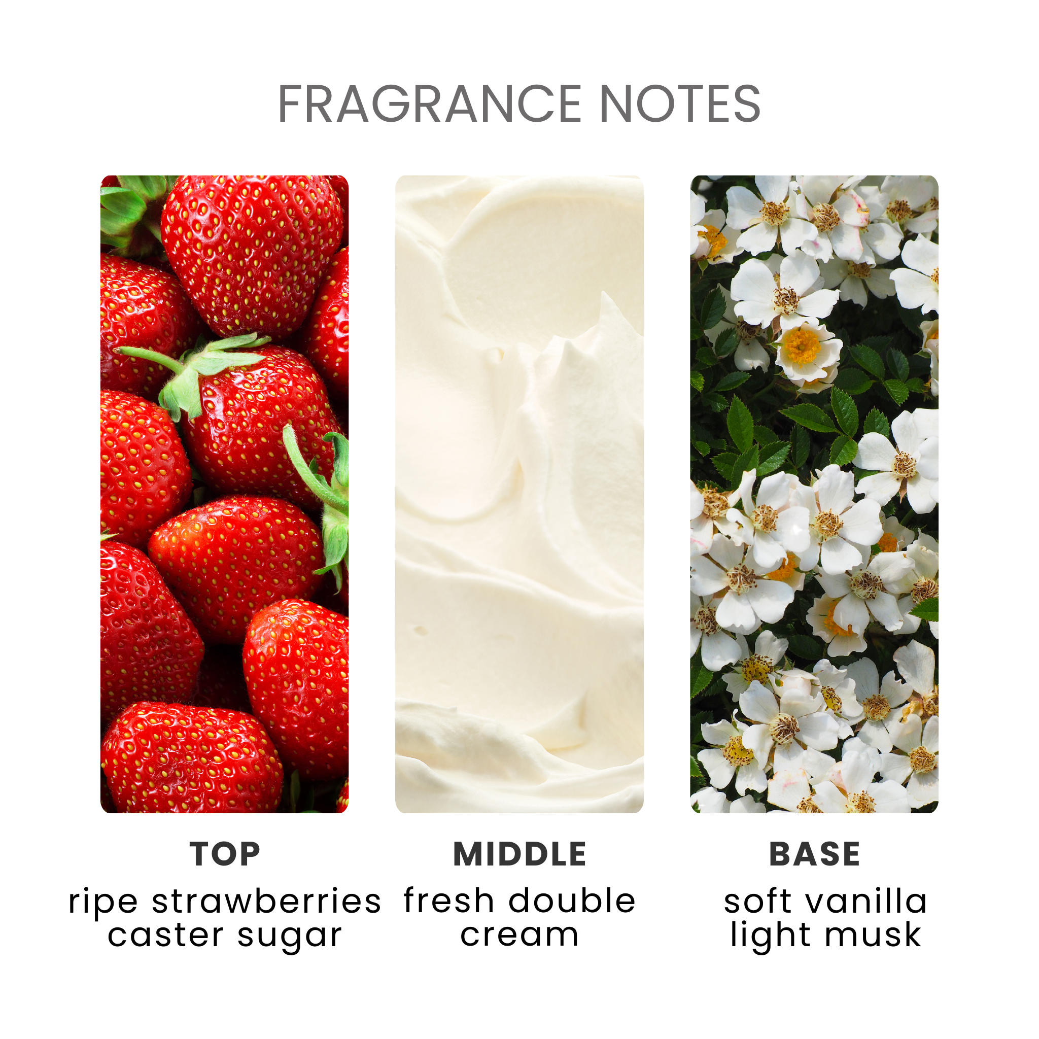 Strawberries & Cream Fragrance Oil Notes
