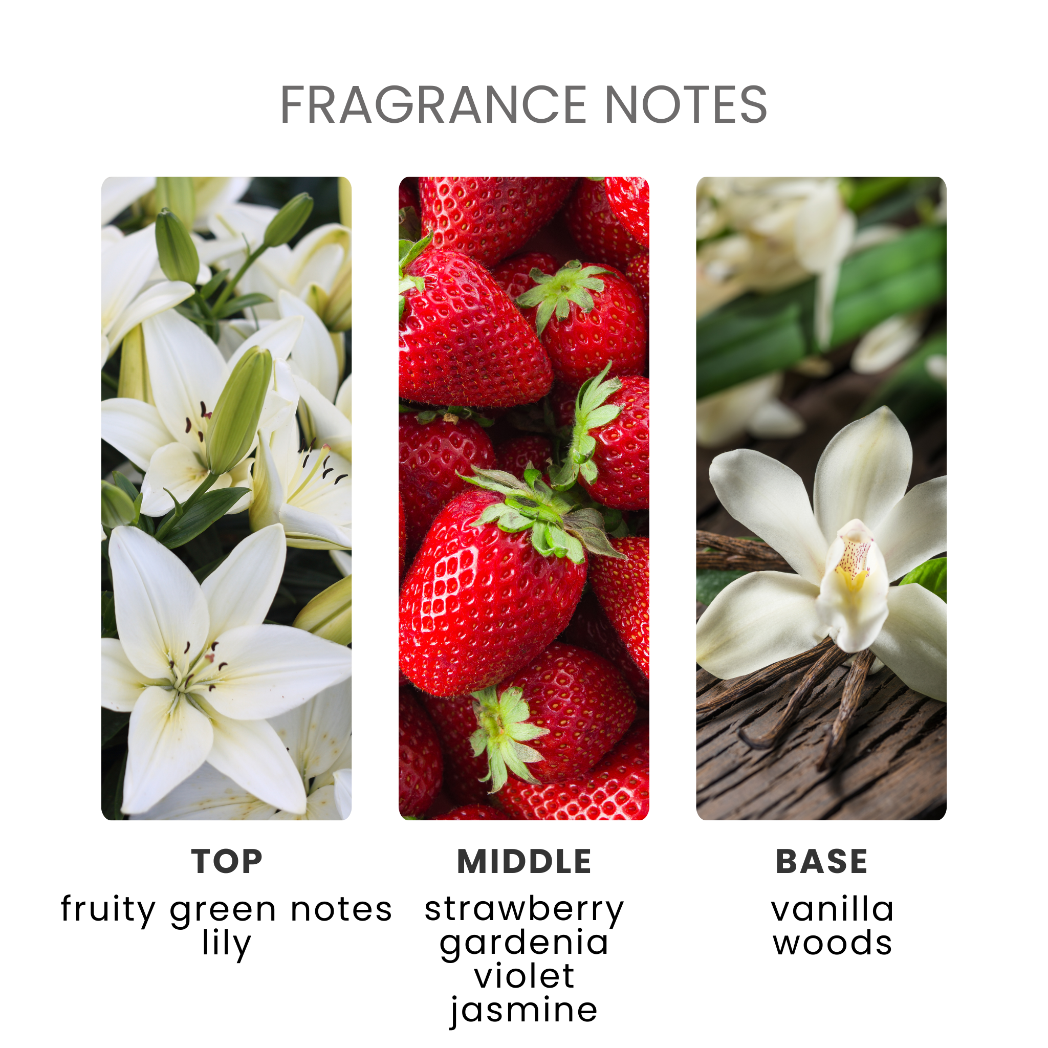 Strawberry & Lily Fragrance Oil Notes