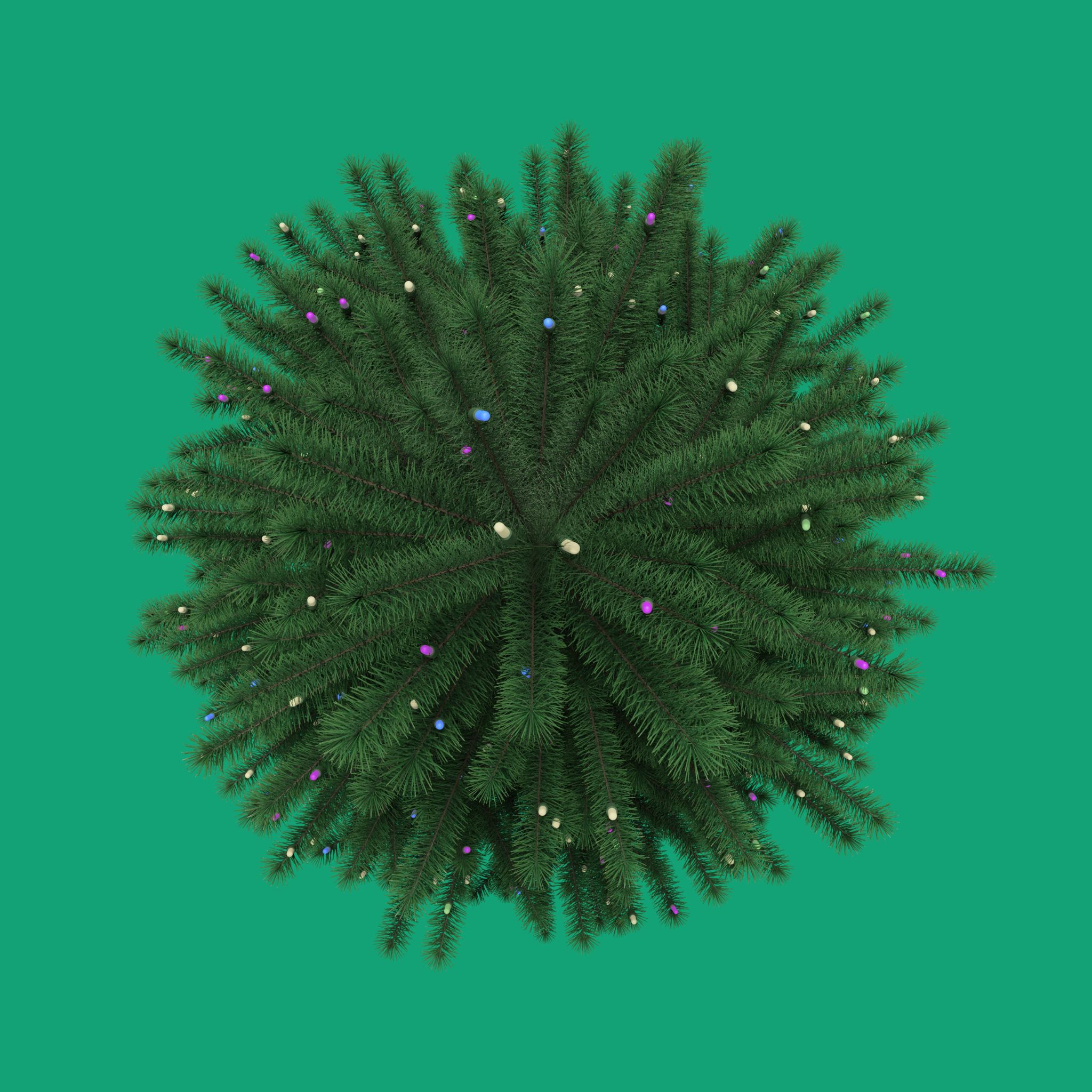 Twinkling Tree Fragrance Oil