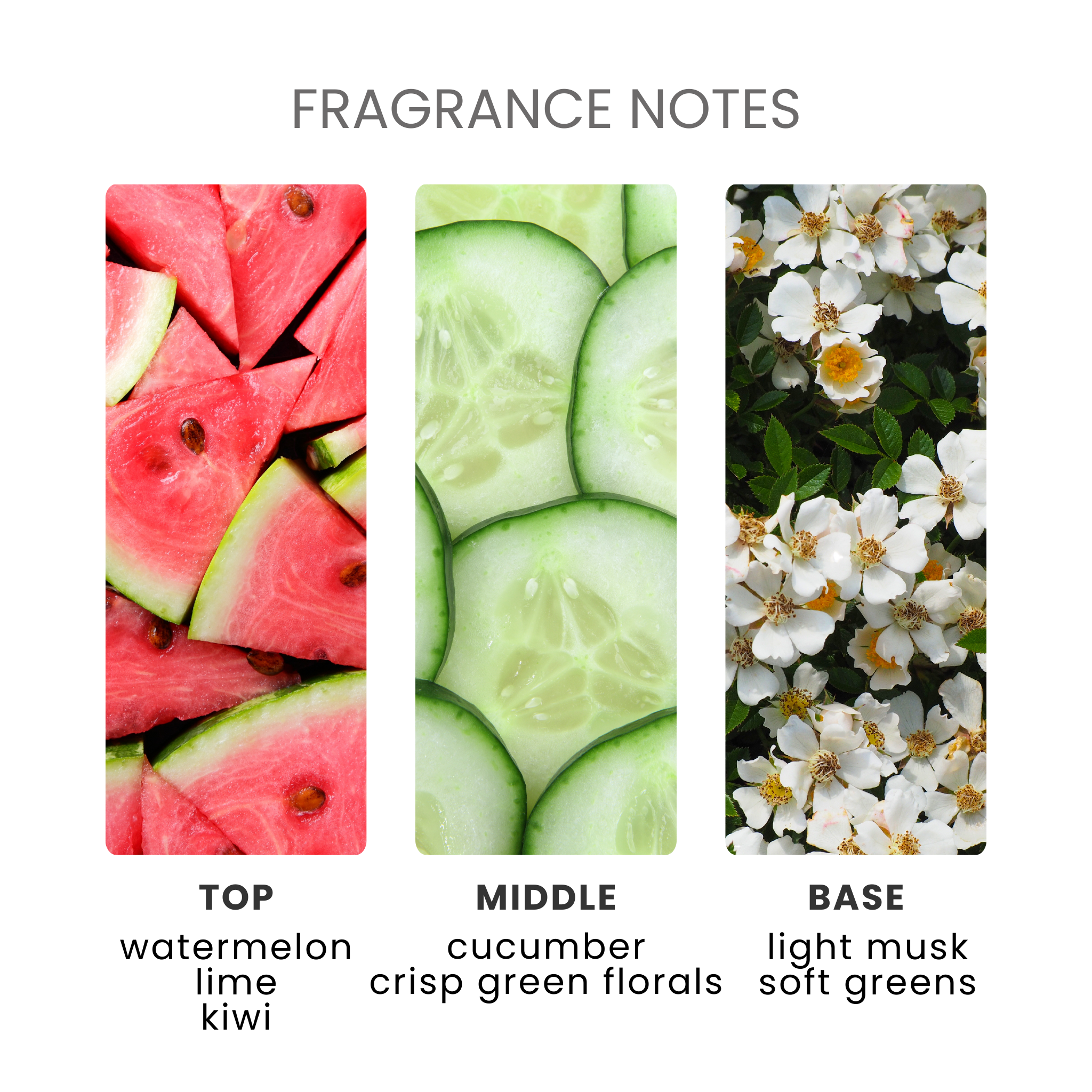 Watermelon Fragrance Oil Notes