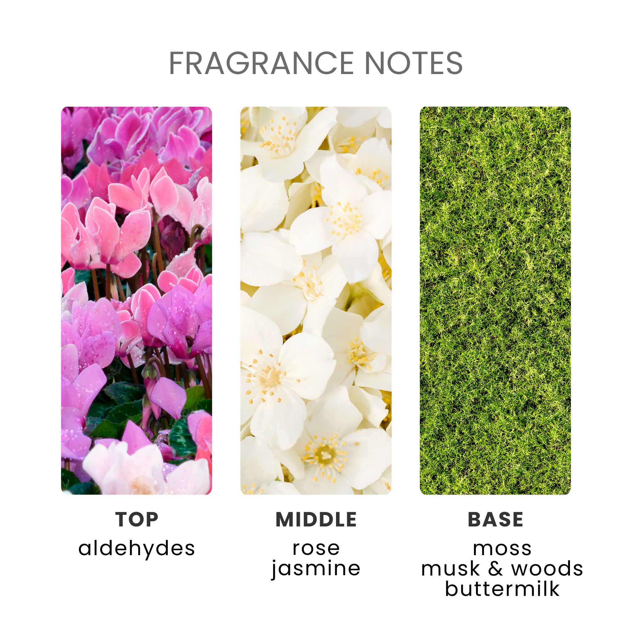 White Dove Fragrance Oil Notes