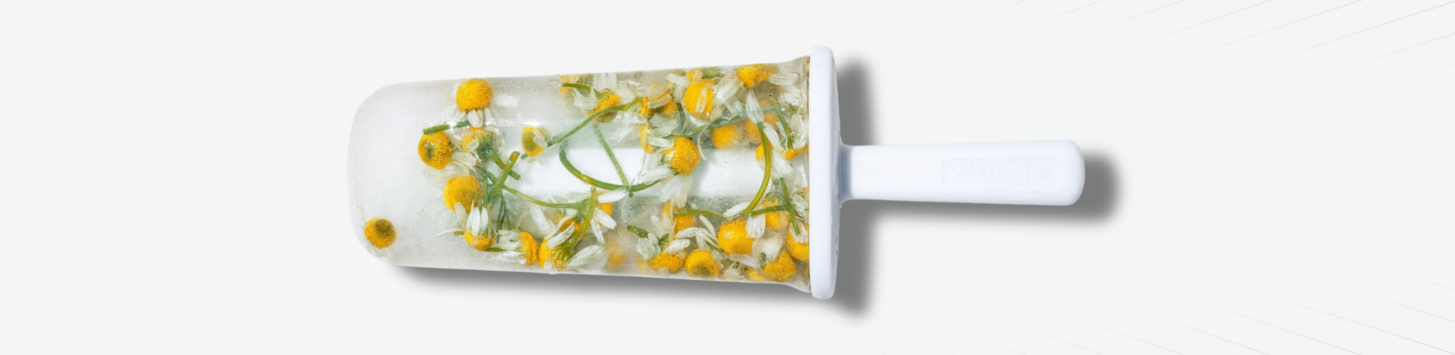 Winter Fragrance Oil Collection For Candles and Wax Melts Desktop