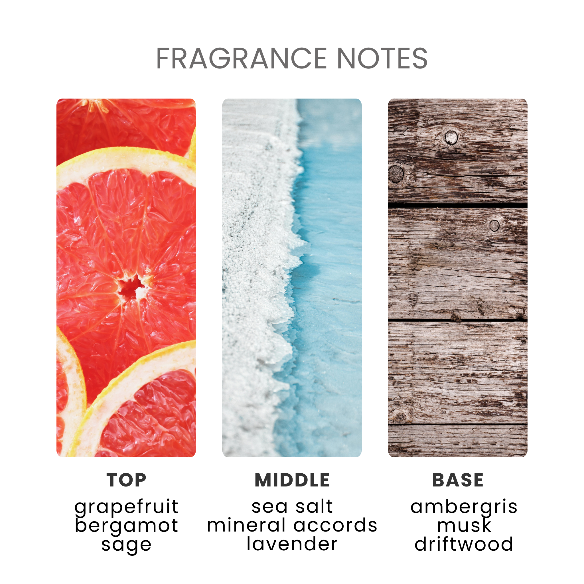 Wood Sage & Sea Salt Fragrance Oil Notes
