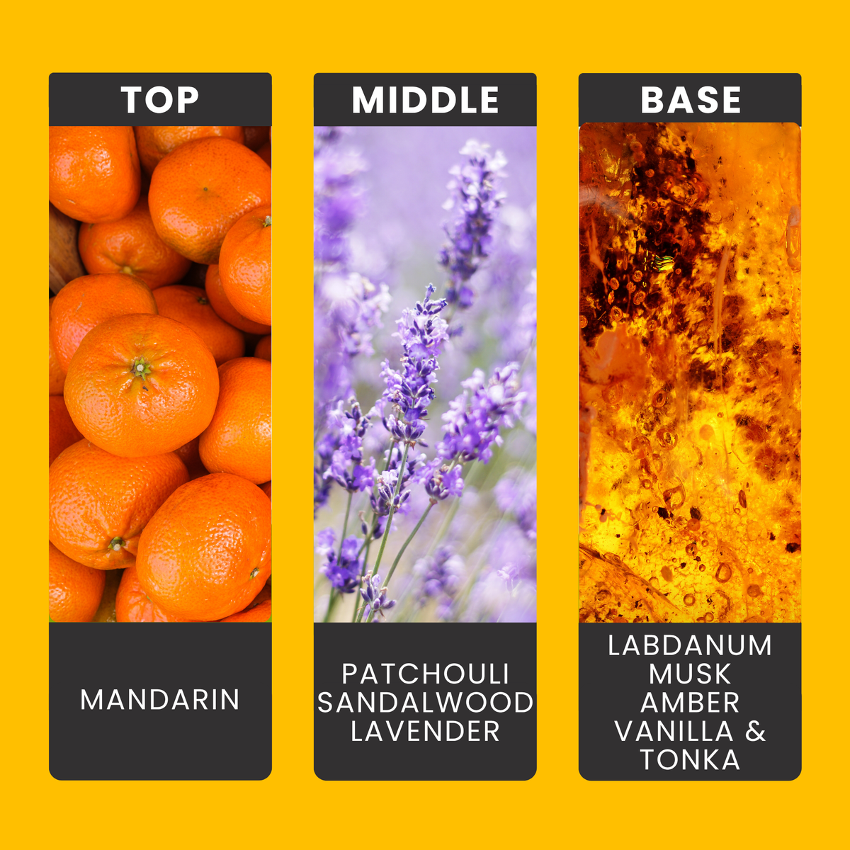 amber-solstice-fragrance-oil-notes