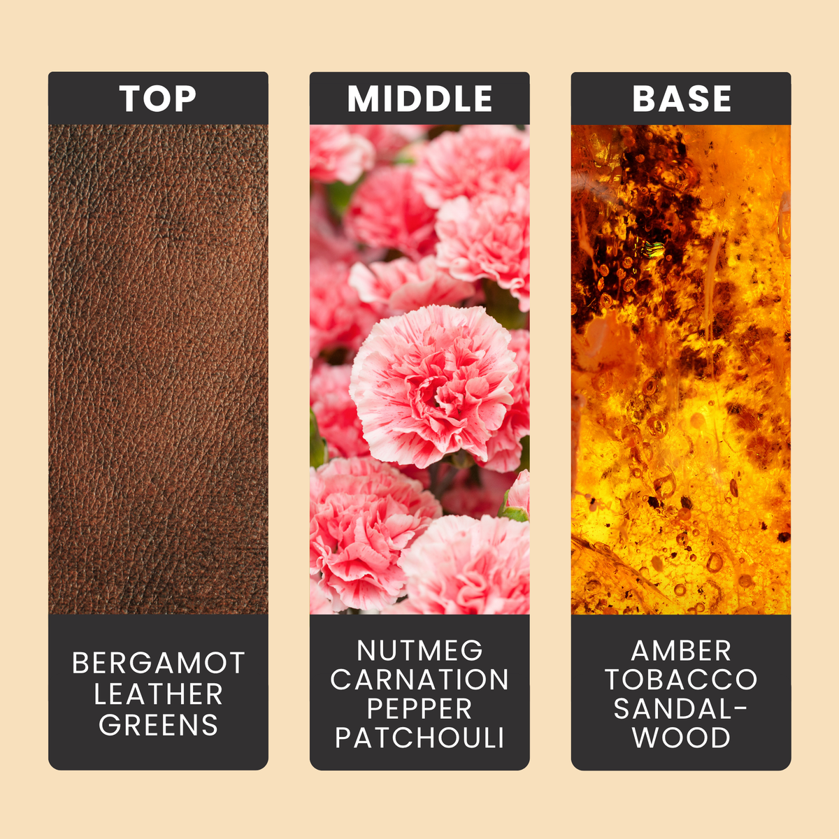 antique-bookstore-fragrance-oil-notes