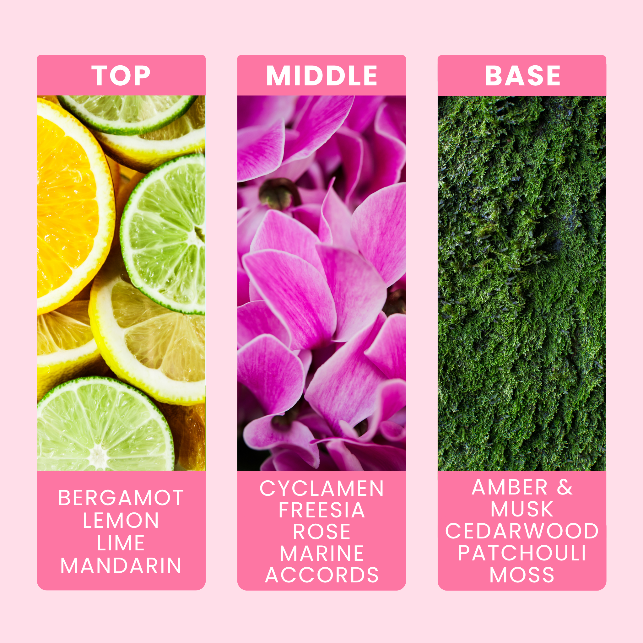 aqua-minerals-and-sea-kelp-fragrance-oil-notes