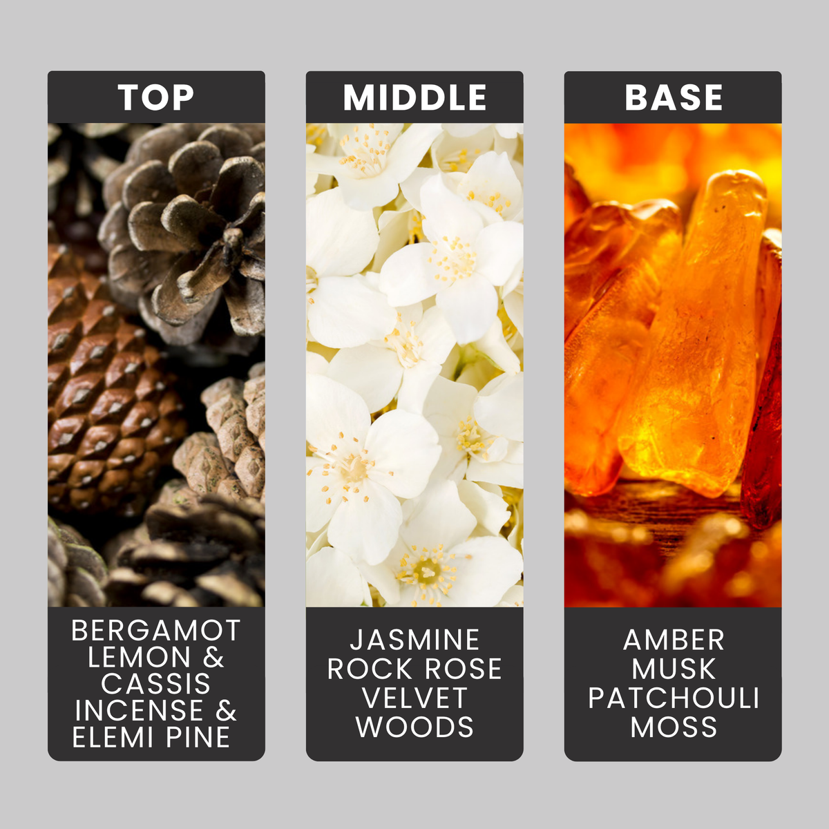 Aventos For Men fragrance oil notes: bergamot, cassis, pine and incense over amber, moss and musk
