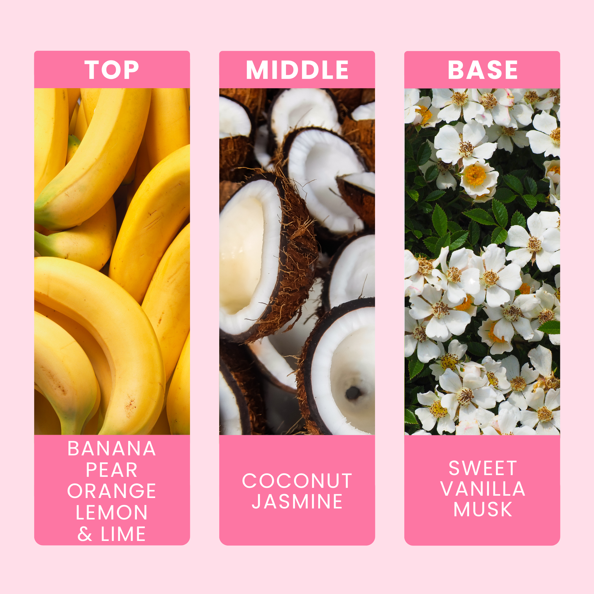 banana-cabana-fragrance-oil-notes