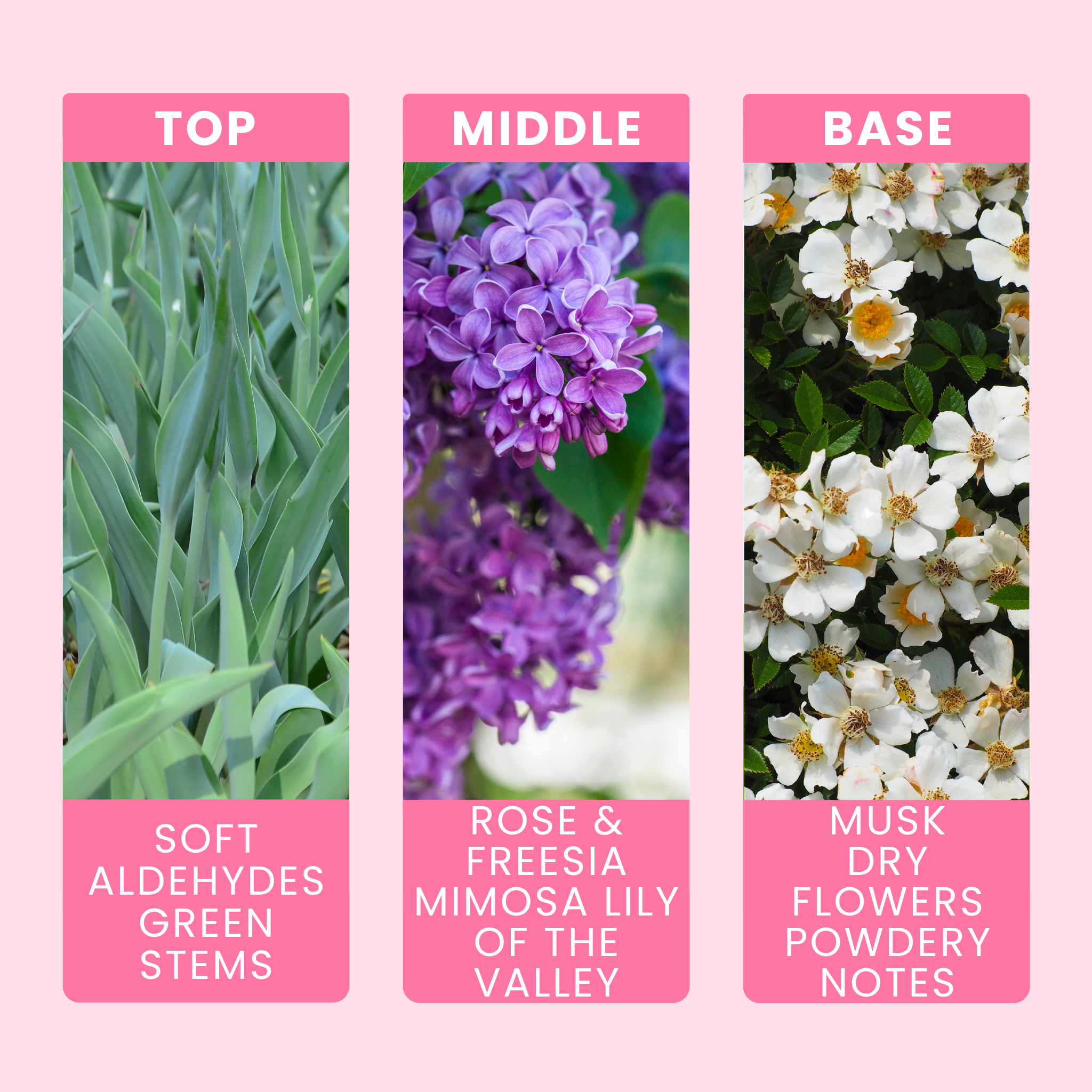 bedtime-baby-fragrance-oil-notes