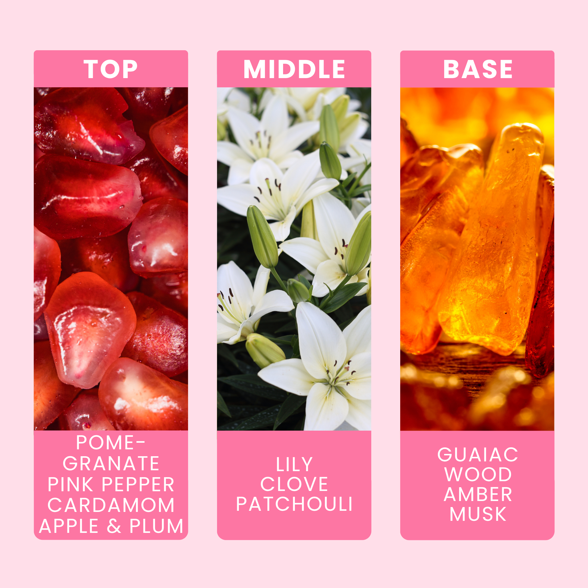 black-pomegranate-fragrance-oil-notes
