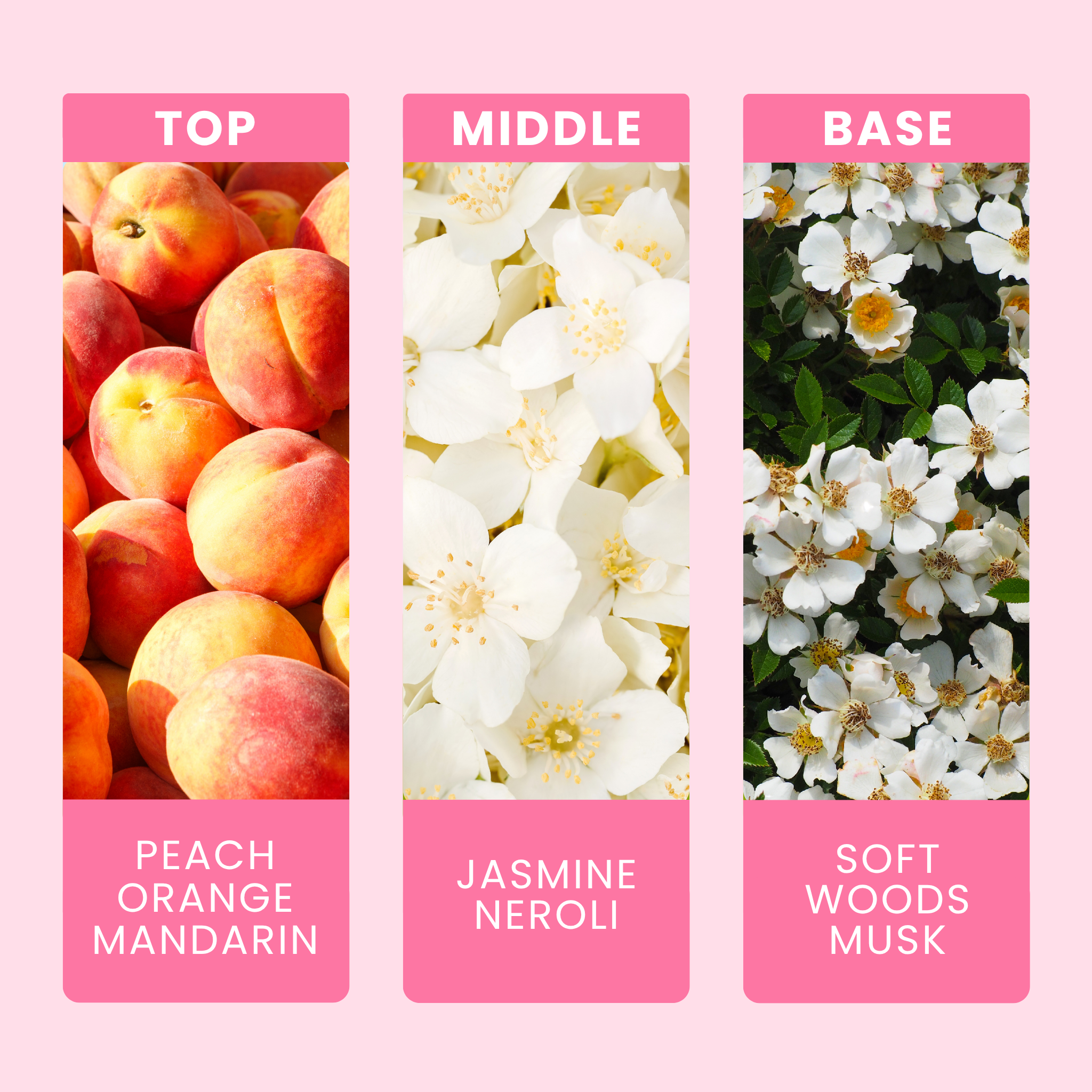 bliss-unstoppable-fragrance-oil-notes