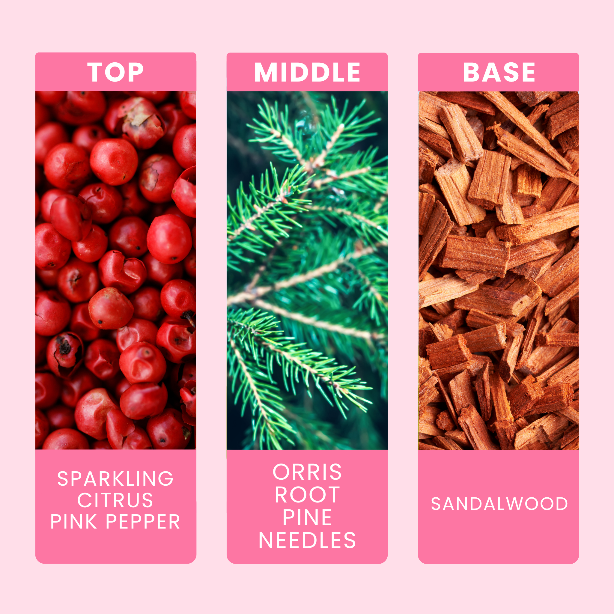 blue-spruce-and-eucalyptus-fragrance-oil-notes