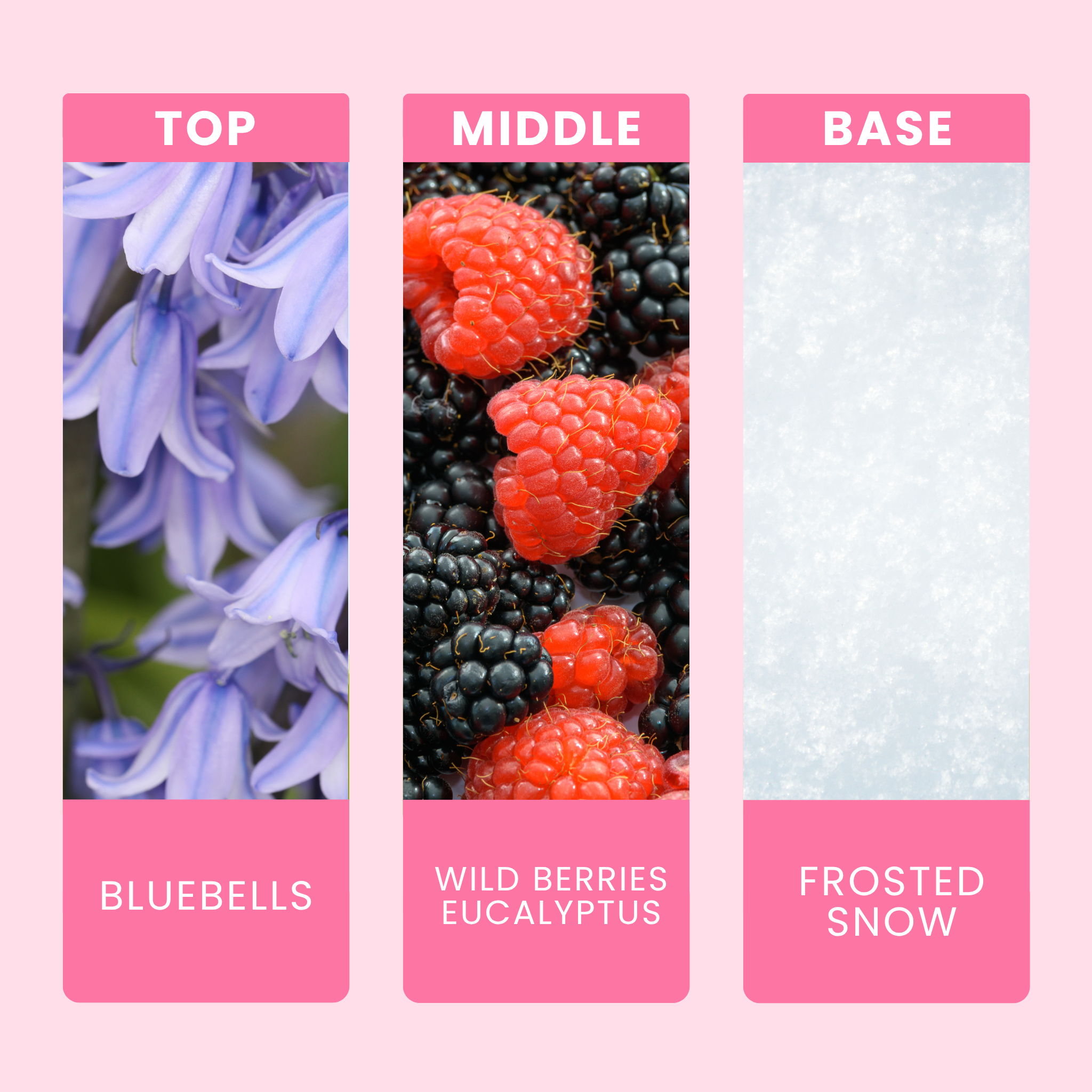 bluebells-and-wild-berries-fragrance-oil-notes