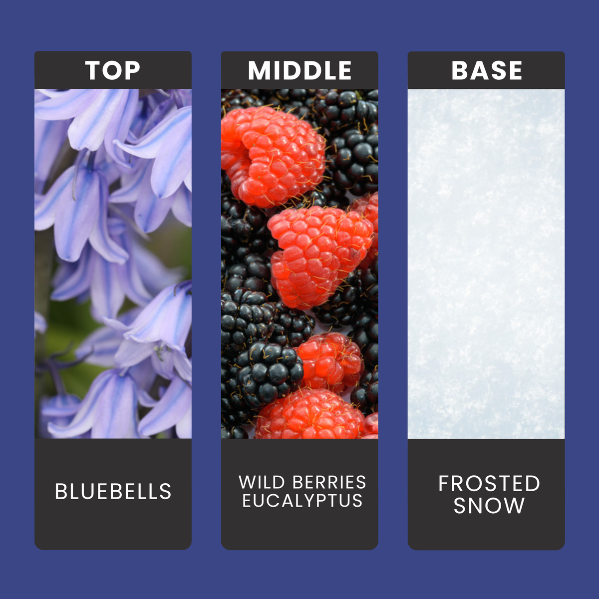 Bluebells & Wild Berries fragrance oil notes: soft bluebells and juicy wild berries with a sparkling frosted snow note