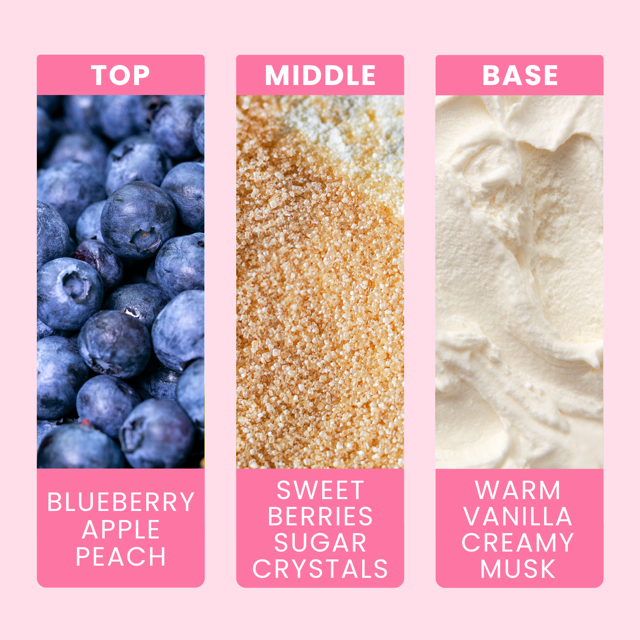 blueberry-and-vanilla-fragrance-oil-notes