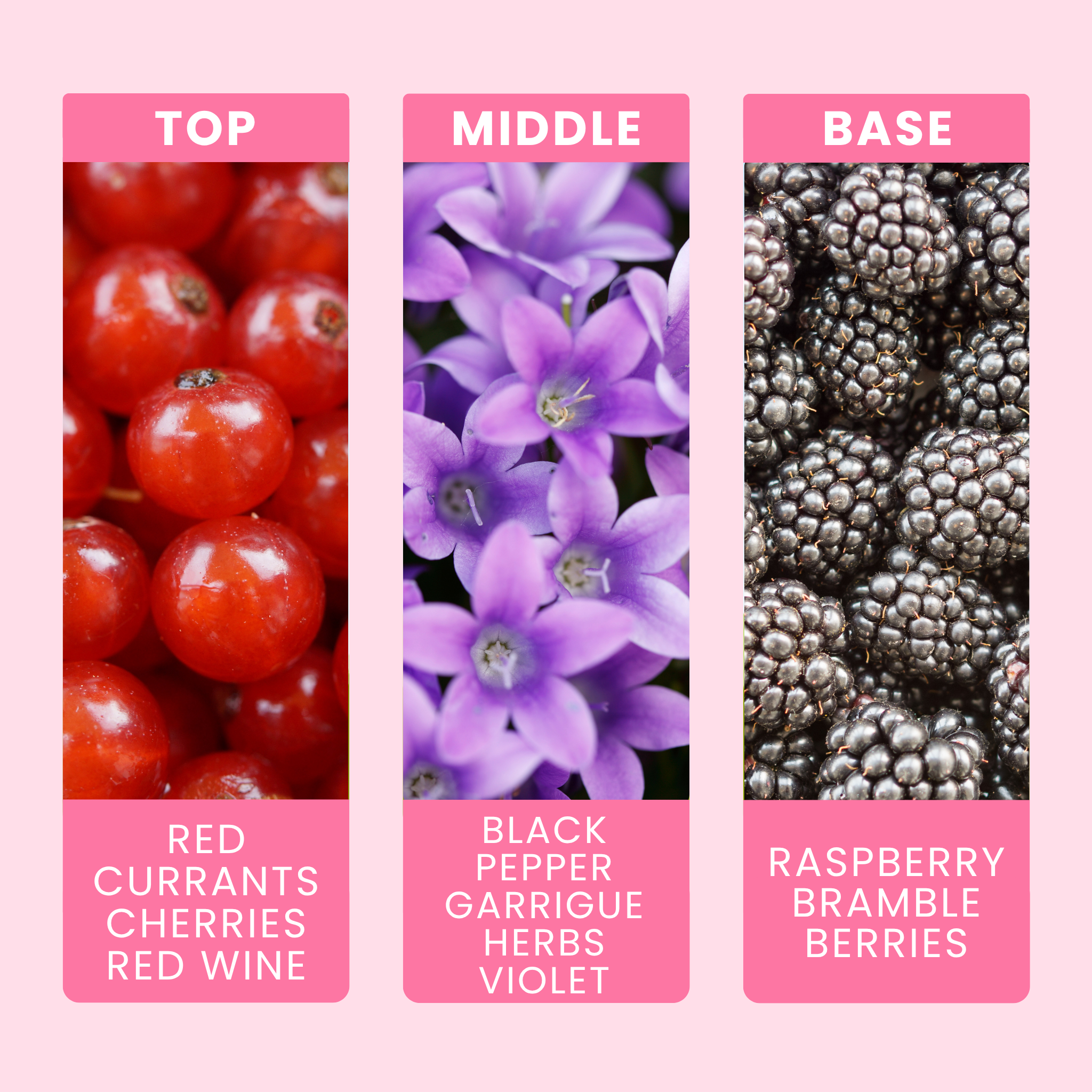 bramble-berry-bliss-fragrance-oil-notes