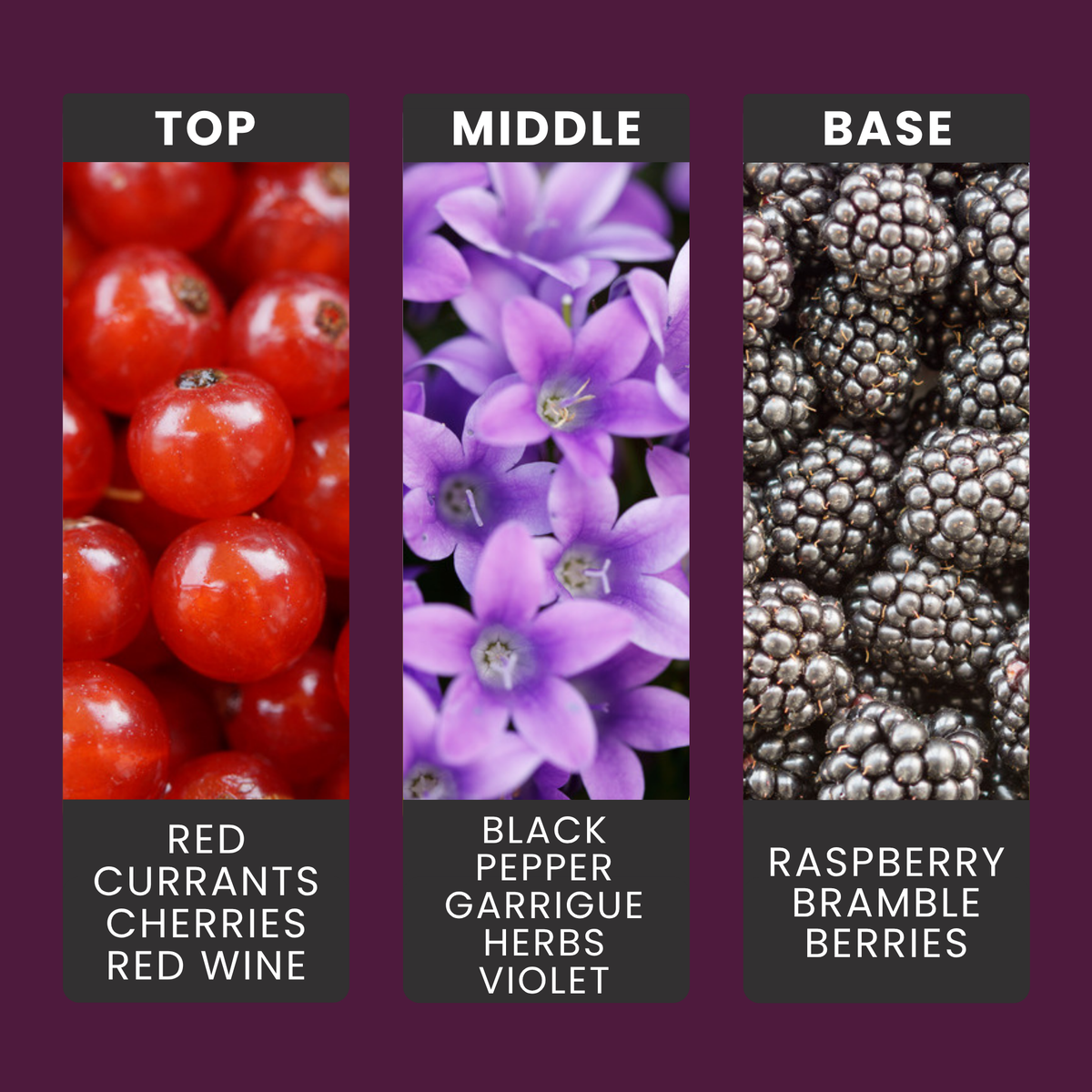 Bramble Berry Bliss fragrance oil notes: red currant, cherry and red wine with black pepper and violet over bramble berries