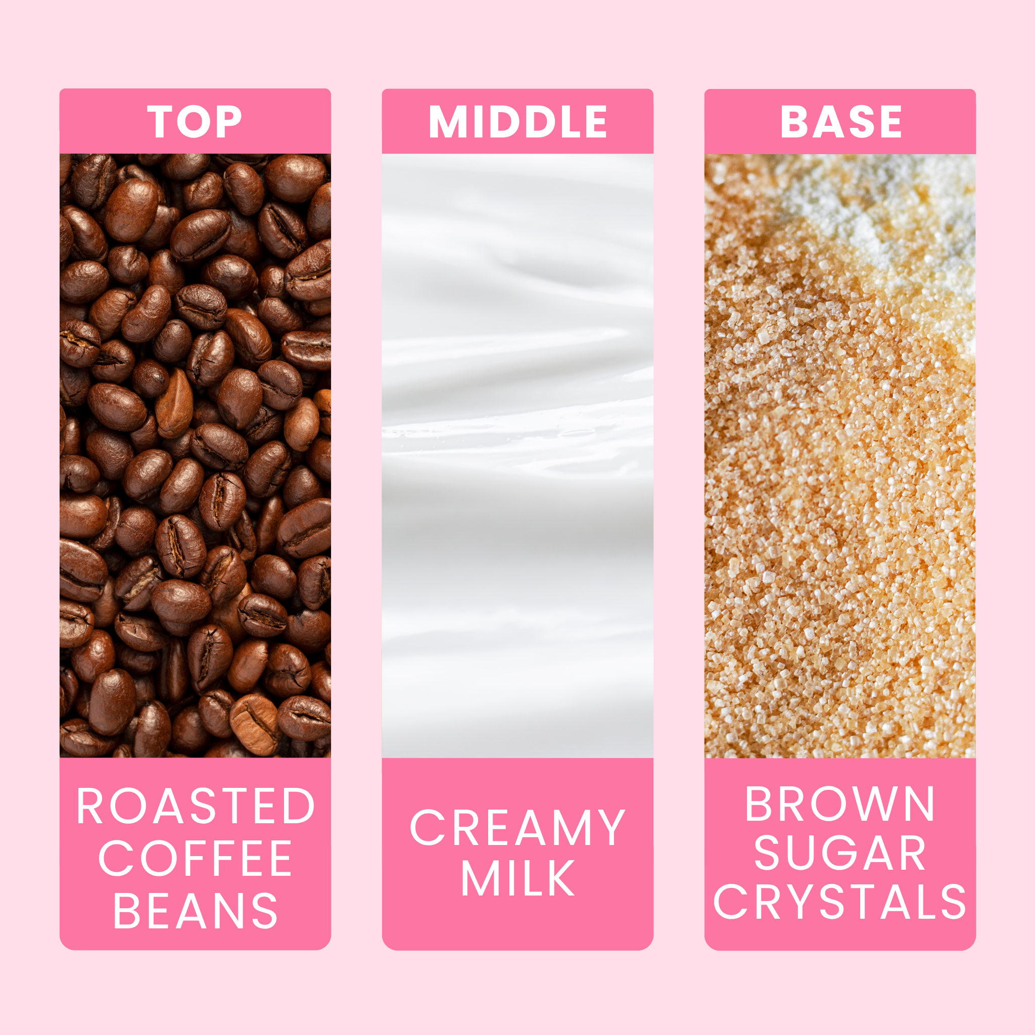 cafe-au-lait-fragrance-oil-notes